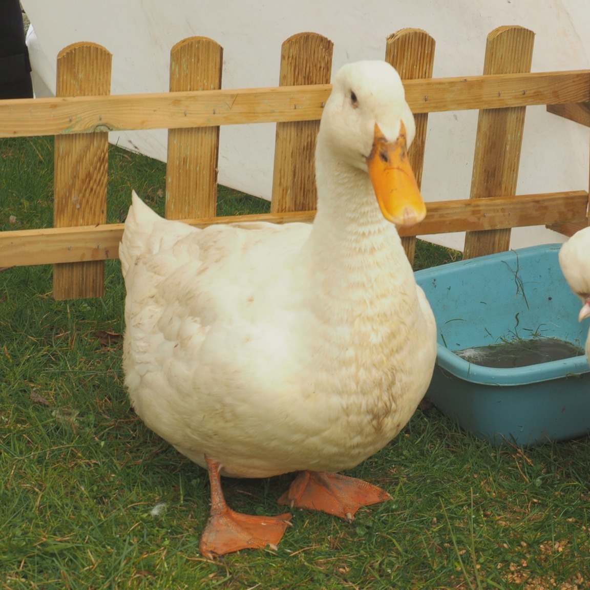 Navštívili jsme Velikonoce v muzeu. Pro odkaz na akci MMG ve Svitavách
https://youtu.be/_yPHeg22Cek