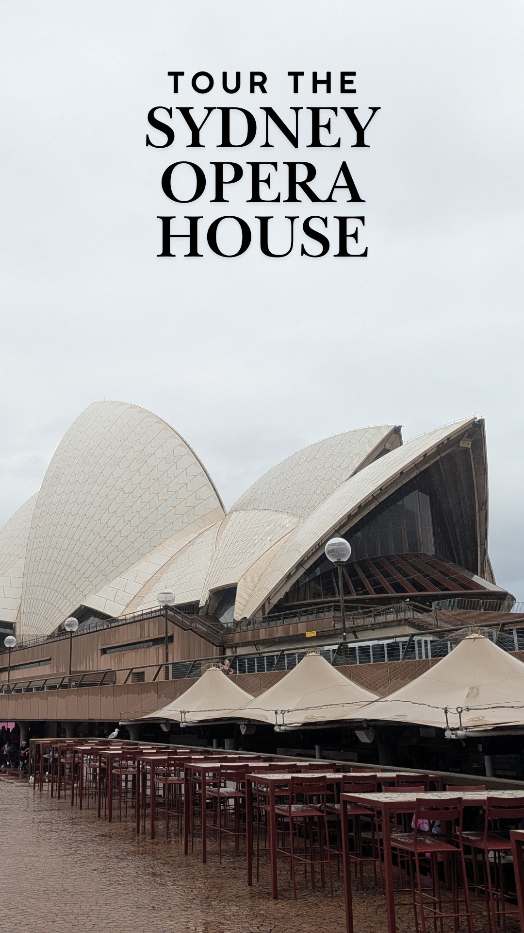 Touring the inside of the Sydney Opera House was even more fascinating than I expected.
We visited the Symphony Theatre and learned about the architectural details that make this building such an icon. From the sail inspired exterior to the warm wood tones and acoustics inside, every space felt intentional and thoughtfully designed.
It is one thing to admire it from the harbor. It is another to step inside and understand the vision behind it.
If you are visiting Sydney, I highly recommend taking the guided tour.