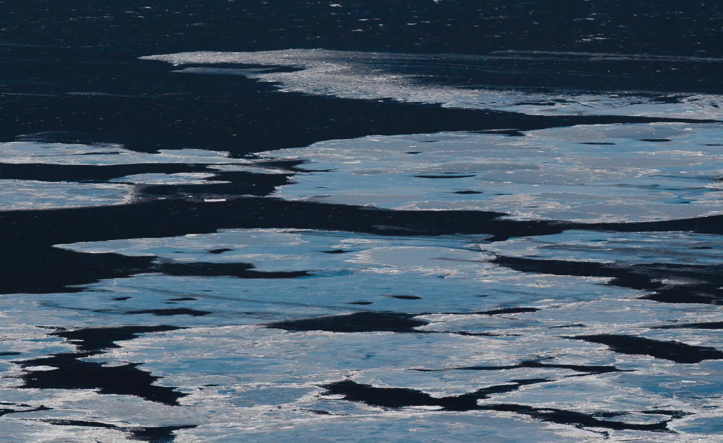 Fragments. π§βοΈ
The texture and colour of melting ice on the mighty St. Lawrence River. π As seen from the top of a pretty fun ski hill, of course. ππΈβ·οΈπ
(2026-03-18)
#stlawrenceriver #lemassifdecharlevoix #quΓ©bec #meltingice #landscapephotography