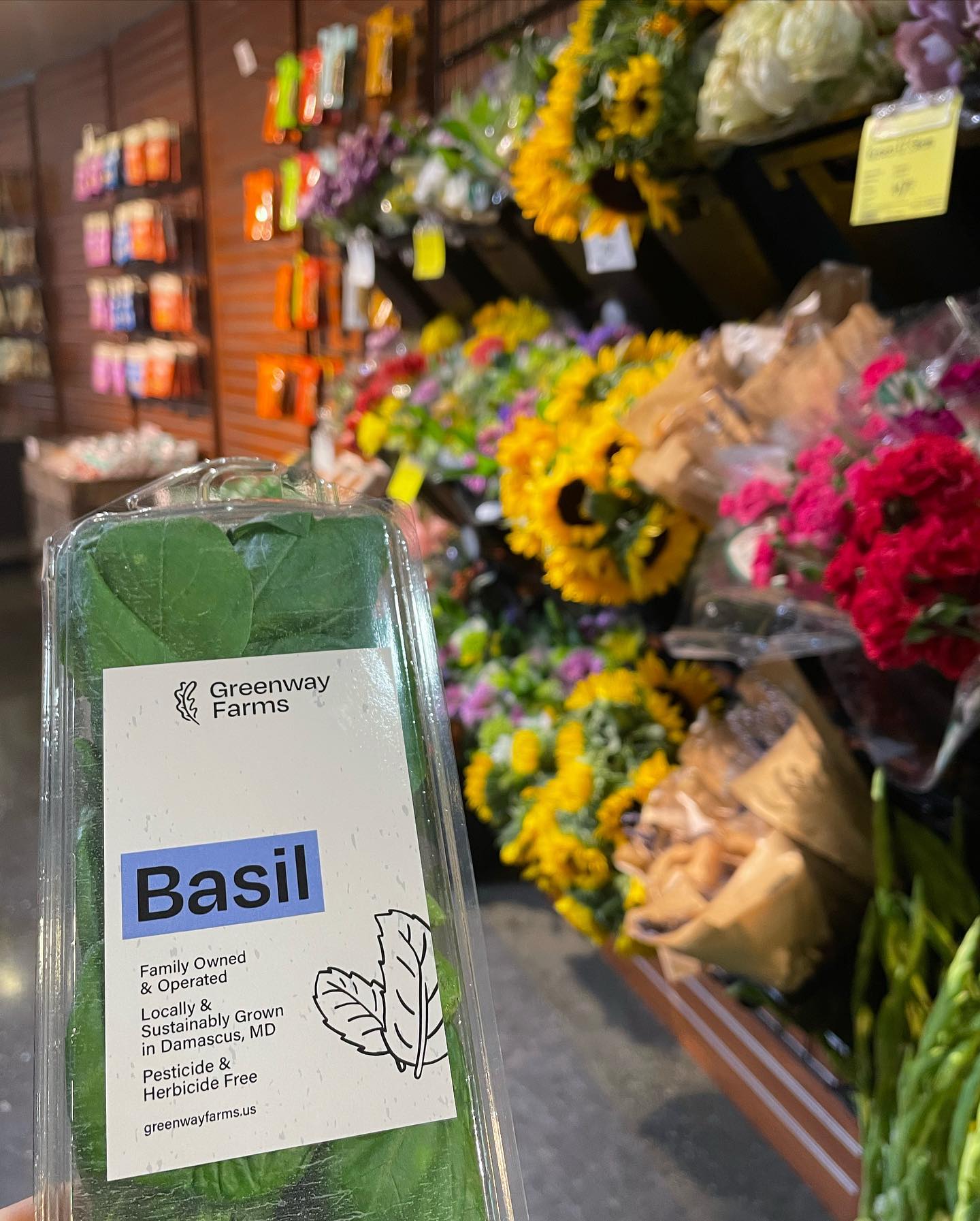 Happy Monday!! Surprise surprise; we now offer our delicious basil at four new Whole Foods locations! Locations on I St. NW, P St. NW, Florida Ave. NW, and Wisconsin Ave. NW in Washington, D.C. now carry fresh Greenway Farms basil!
Start your week off right with some pesticide free and locally grown produce!
#mondayvibes #freshbasil #wholefoods #wholefoodsmarket