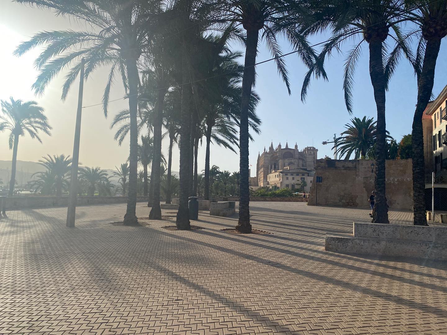 Before summer ended, I was able to fit in a beach trip to Palma de Mallorca. It was super cool to explore the city of Palma de Mallorca and see the architectural influences within the city. It was a great way to relax before classes start in Madrid!
Check out the link in my bio for the tour update for Palma de Mallorca. More updates coming soon! 🌎🛩
————————————————
#spain #mallorca #magaluf #palmademallorca #globales #travel #travelphotography #traveling #travelblogger #travels #instatravel #travelawesome #traveladdict #traveltheworld🌎 #mikesworldtour #visitspain #balearicislands #palma #travelpics #travelstoke #travelingram #travellers #travelcommunity #travelpics #beach #summer