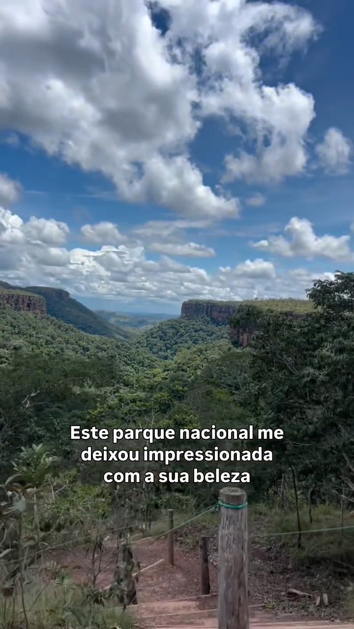 🇧🇷VIVENDO A BIOFILIA - Como não se encantar com este Parque Nacional e sua preciosa biodiversidade e paisagem? A Chapada dos Guimarães no Mato Grosso encanta com a sua riqueza de detalhes e várias cachoeiras. Situado em zona de transição entre os biomas Cerrado, Pantanal e Amazônia, traz uma flora realmente preciosa para os olhares atentos. A visita vale muito a pena!
.
🇬🇧EXPERIENCING BIOPHILIA - How can one not be enchanted by this National Park and its precious biodiversity and landscape? Chapada dos Guimarães in Mato Grosso captivates with its rich details and numerous waterfalls. Located in a transition zone between the Cerrado, Pantanal, and Amazon biomes, it offers truly precious flora for attentive observers. A visit is well worth it!
.
#biodiversidadebrasileira #plantasnativas #chapadadosguimarães #parquesnacionais #biofilia