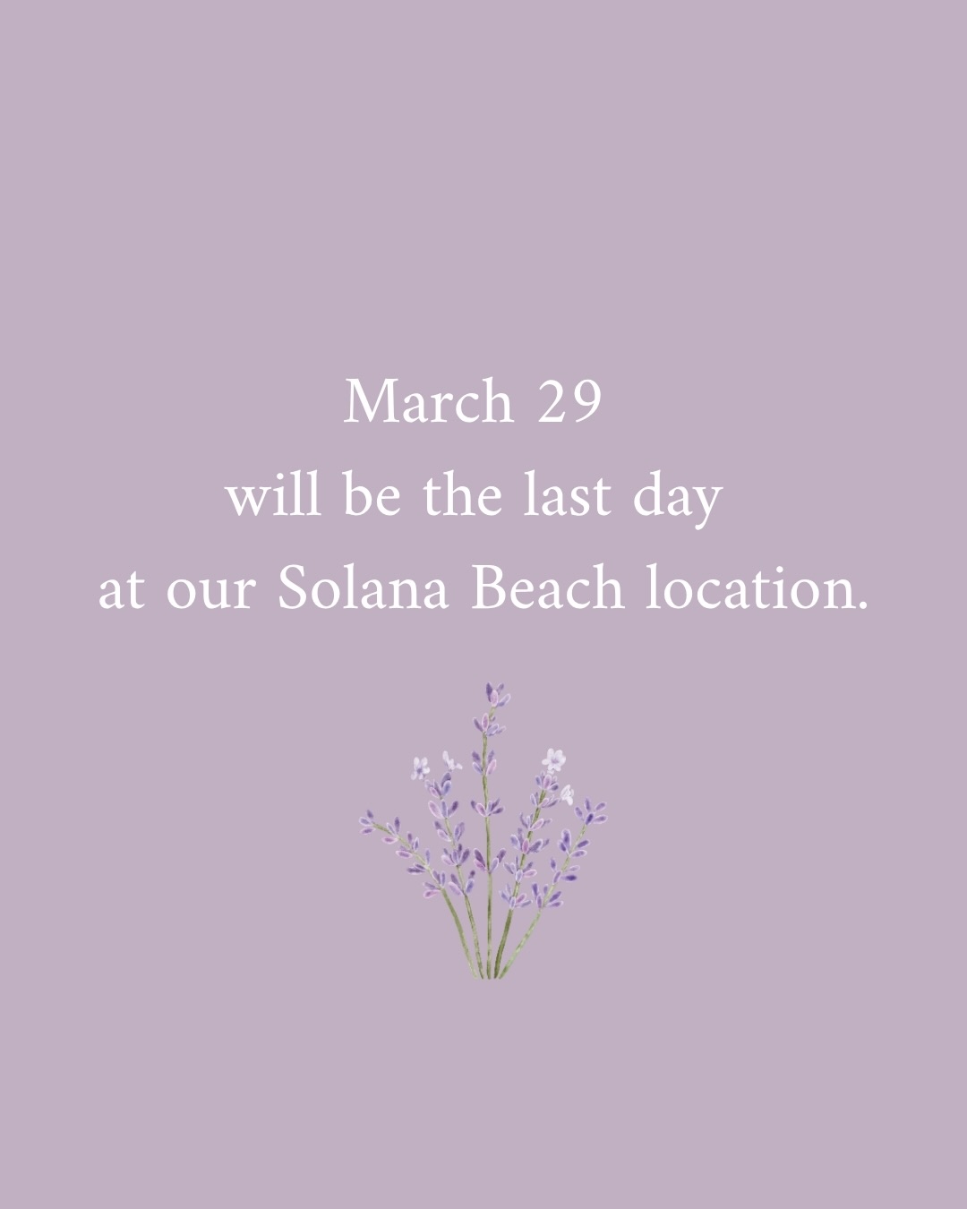 Come say goodbye to our beautiful space in Solana Beach, CA! We are open Wednesday-Sunday 8am-5pm. Our last day will be Sunday, March 29. We will miss being in San Diego.
We are truly grateful for all the love and support for our small business. We are sad and disappointed in how things turned out but we are not defeated. 💪🏼Thank you for believing in us - we would be nothing without our amazing Morning Lavender community! 💕
