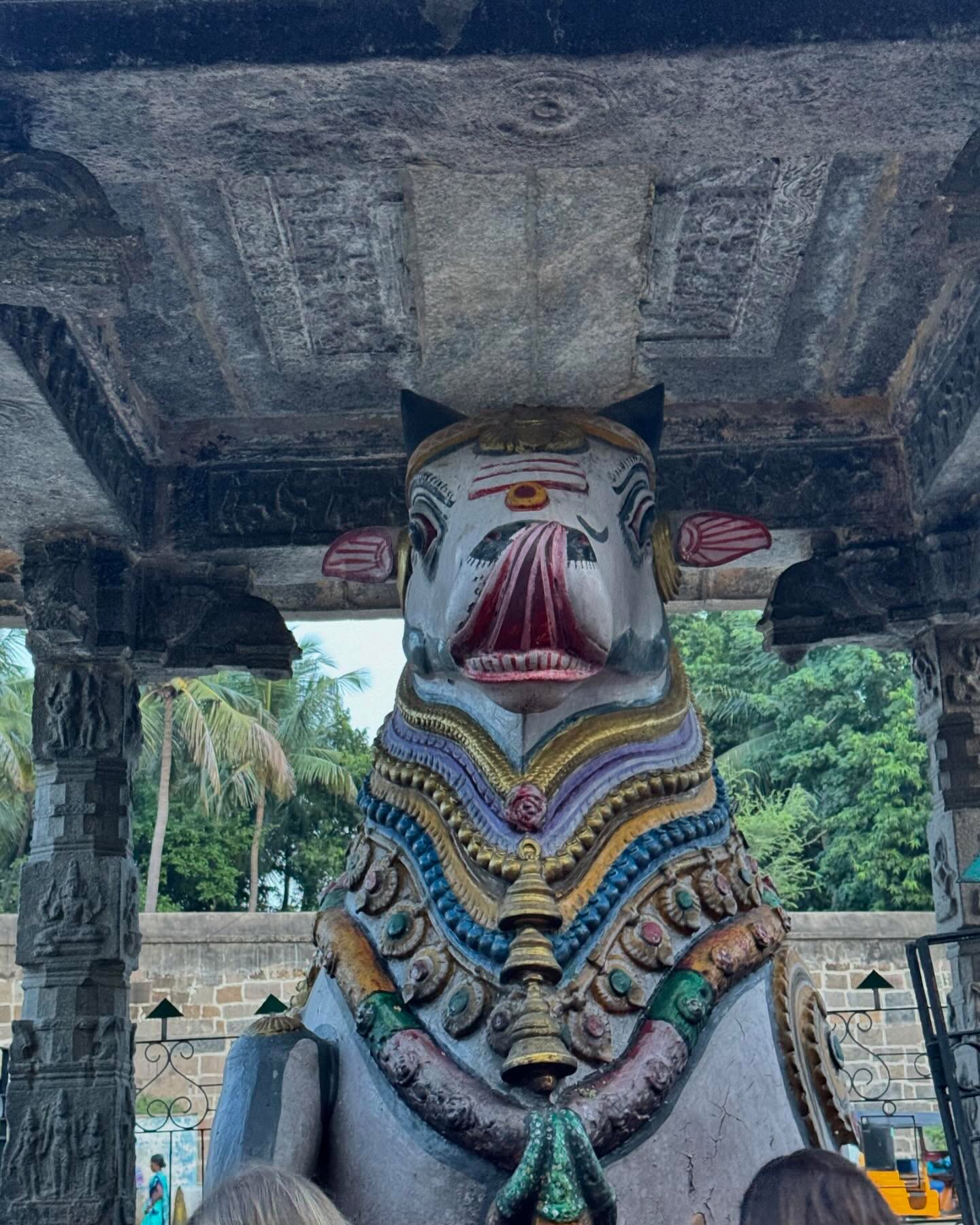 Nandi 🙏🏾🇮🇳🐄
