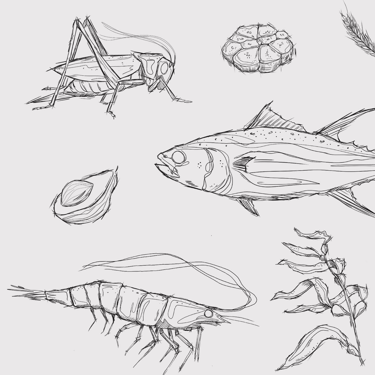Last year, I had the amazing opportunity to create some illustrations for a tattoo design! 💉This was such a fun and rewarding experience! 🥑🐠🍅🦐🍋🧄#tattooart #illustrations