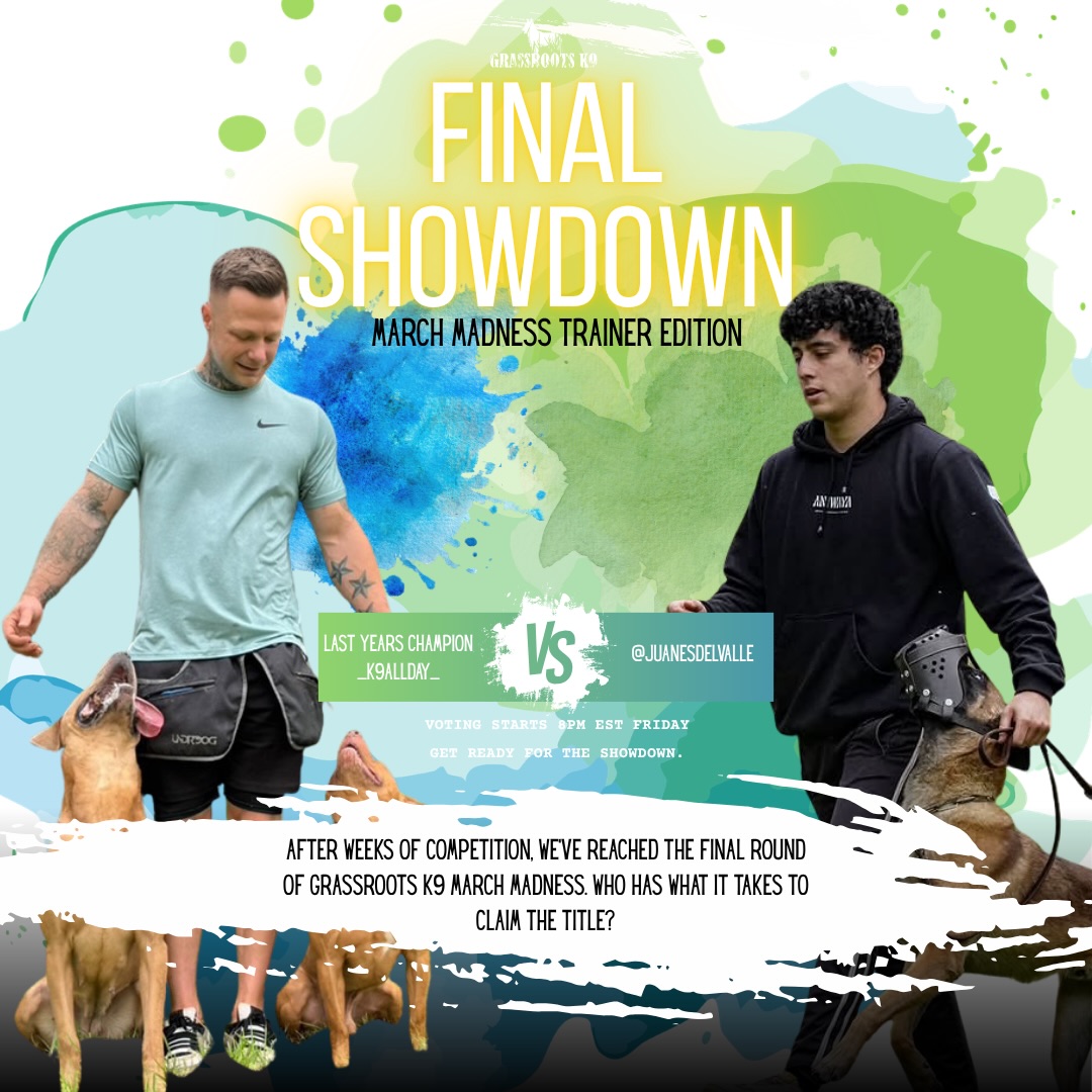 The champ returns.
The challenger earned it.
FINAL SHOWDOWN.
Who takes it? 🏆
Vote in our story Friday at 8PM EST