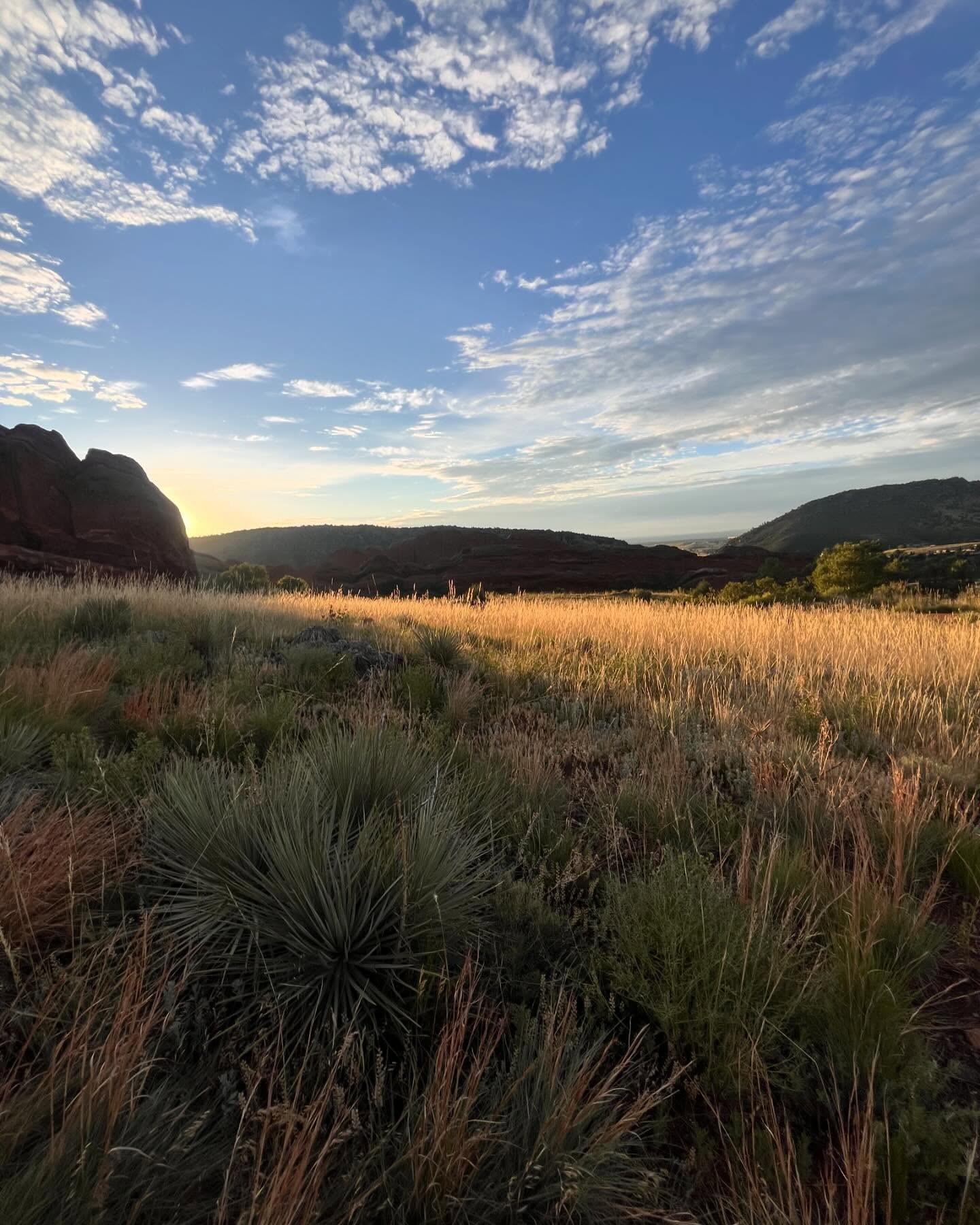 Peaceful morning 🕊️
#hike #hikecolorado #denvermountainparks #denvercolorado #visitcolorado #choosemountains #hike #hiking #trail #adventureisoutthere #outdoors#discoverearth #outdoor #nature #mothernature #trekking #adventureculture #naturelovers #earth #landscape #welivetoexplore #sunrise #naturephotography #sky #naturelover #natgeo #mountains