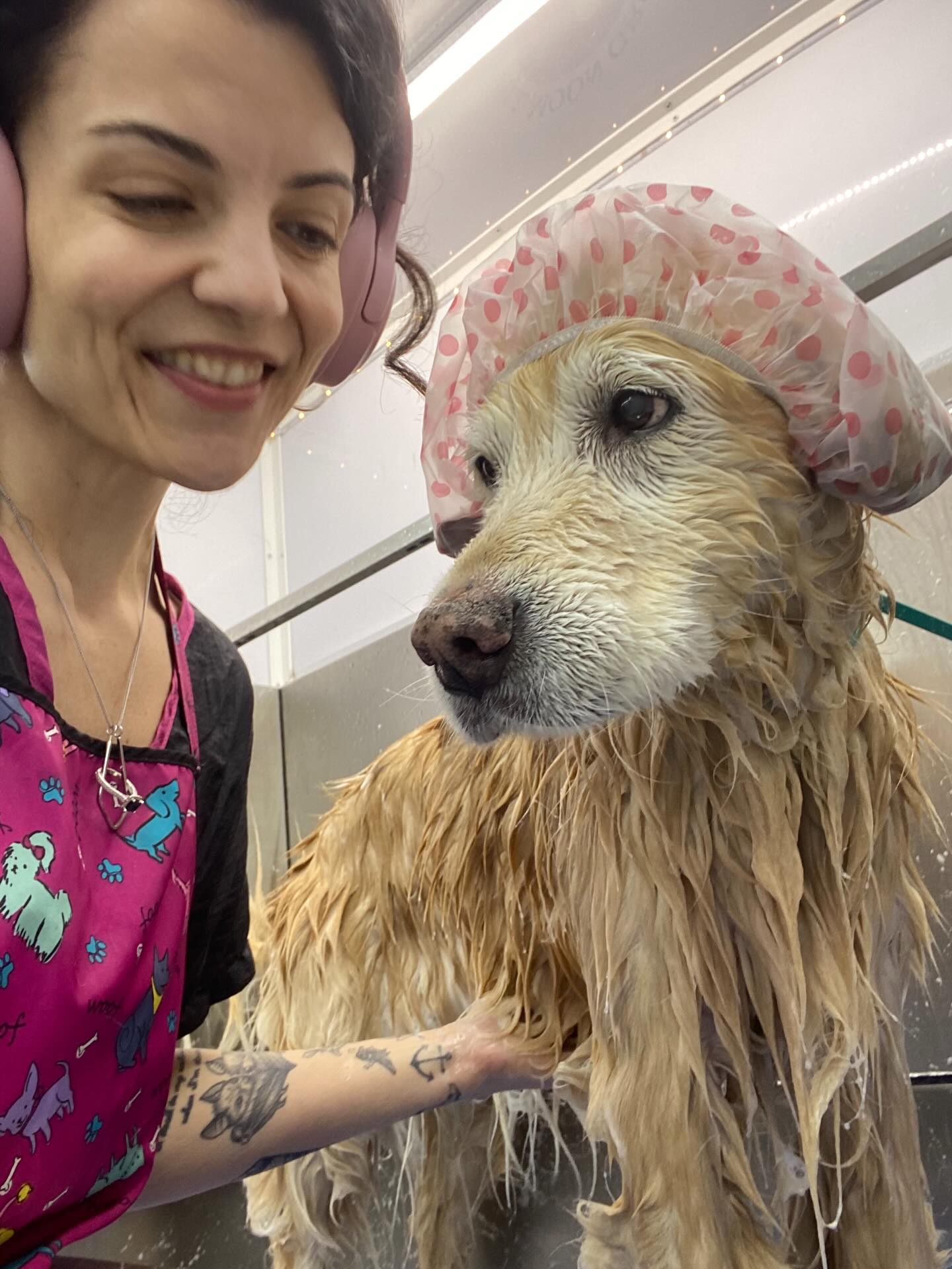 Welcome to the Full Moon Groom pack Stella 🥰