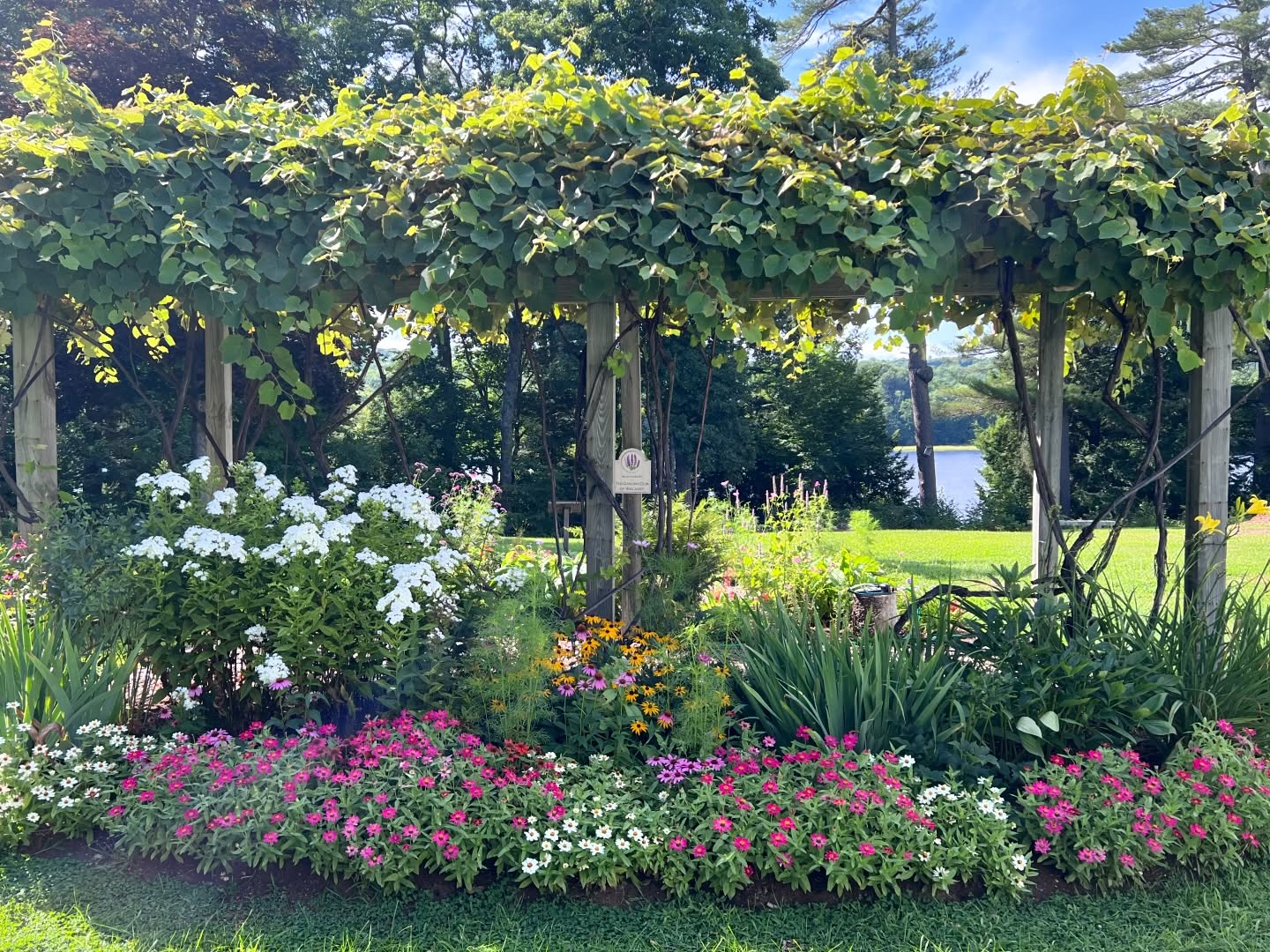 The Pownalborough Court House Garden
Garden Design Background (text from plaque)
“The Pownalborough Court House Period Garden was designed utilizing a format and plant material commonly found here from 1761 to 1800. Settlers of this period usually patterned their garden after the Tudor style in England, which was based on a medieval plan. The shape was often square or rectangular, with some aspects of symmetry present. Alleys or paths divided the space allowing easy access for planting, weeding and harvesting. Ornamentation was kept to a minimum, and if utilized at all, the form might be a sundial or bee skep. Traditionally, four plant groups were cultivated: vegetables, herbs, flowers (mostly medicinal with perhaps a few ornamentals), and fruit. Before the Revolution, there were not many nurseries as we know them today, so plant material was exchanged from one gardener/farmer to another.
Garden Description
The garden overall is approximately 20’ x 30’ and it incorporates a grape arbor which was commonly found during this time period. At the center of the main section (20’ x 20’) is a 6’ circular area featuring a sundial surrounded by a mix of flowers.
In keeping with the time period, the specific plants initially chosen for this project are primarily utilitarian in nature, with only a few ornamentals that would have been introduced after the Revolution.”
If you would like to help with the planting or maintenance of this garden, consider joining the Garden Club of Wiscasset. Link to website in our bio.
#gardenclubofwiscasset #gardensofmaine #lincolncountyhistoricalsociety #midcoastmaine #Maine #gardenclub #gardenclubfederationofmaine #historicpreservation #gardendesign #gardensofnewengland #mainegardens #coastalmaine