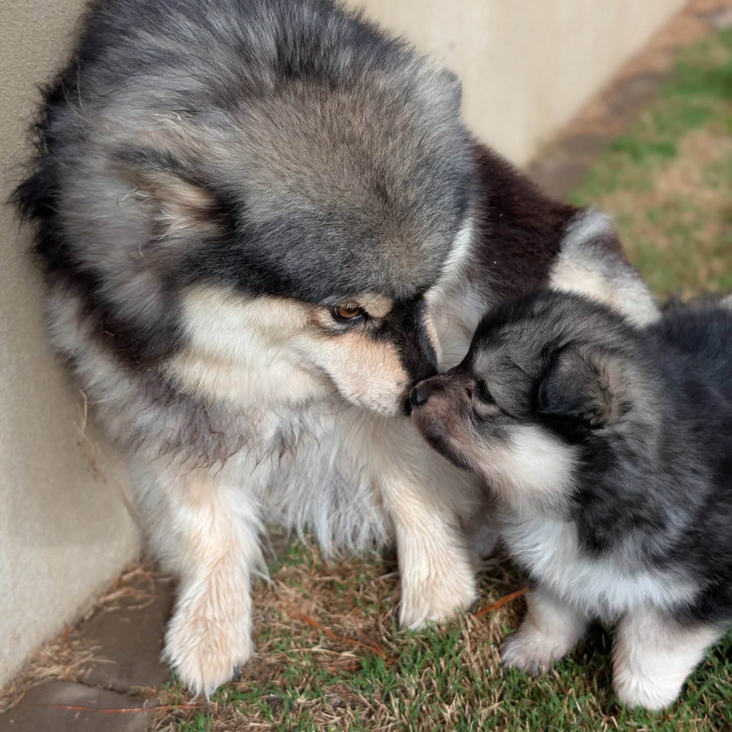 Sweet moments between mum and her mini me 💖