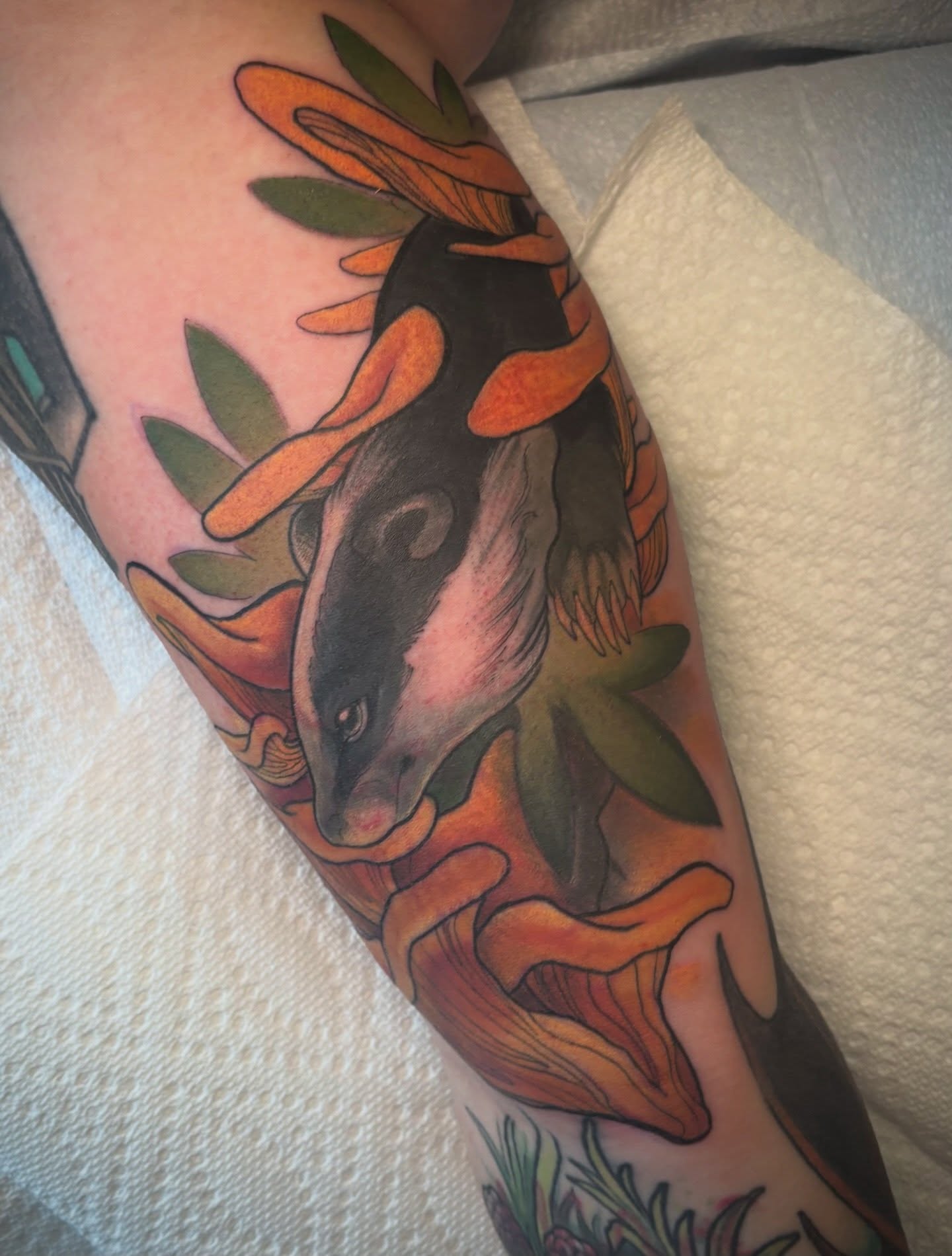 Big ol’ badger boi for a rough cover up area! She’s swollen but so purdy 🍃
#tattoo #coveruptattoo #badgertattoo #naturetattoo #girlswhotattoo