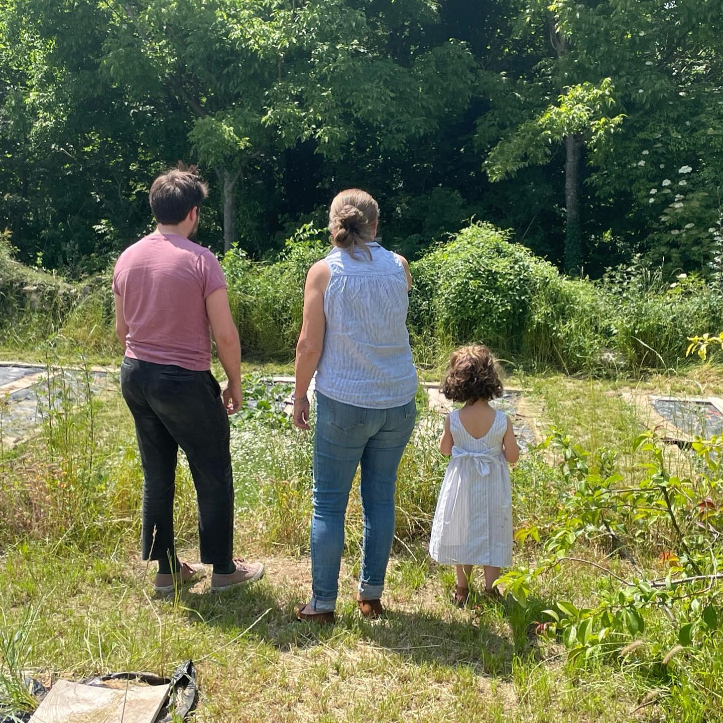 En pleine réflexion pour organiser le conservatoire, un projet familial ;)
#plantemedicinale
#plantesmédicinales
#plantes #jardin #soinnaturel #hautsdefrance
#bio #herboristerie #phytotherapie