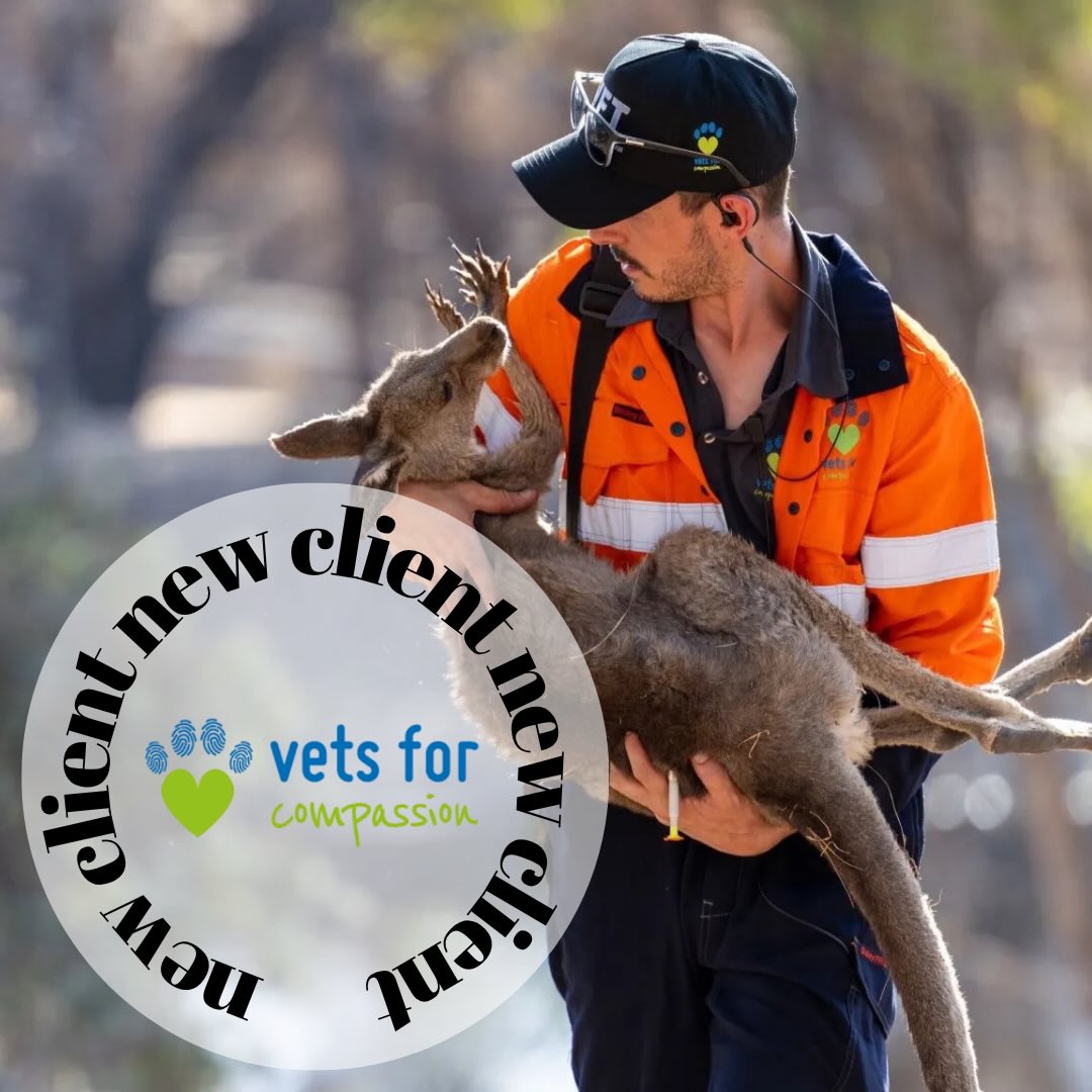 We’re thrilled to be partnering with @vetsforcompassion to bring their upcoming “A Night of Compassion” Fundraiser to life 🐾
From concept to execution, The Hype will be working alongside their team to deliver an unforgettable Melbourne charity event designed to drive impact, elevate storytelling, and maximise fundraising outcomes.
Vets for Compassion are an incredible Australian organisation providing free veterinary care, rescue and rehabilitation for vulnerable animals, both locally and in disaster-affected communities. Their work goes beyond treatment it’s about compassion, connection, and giving animals a second chance.
This event is more than just a night out. It’s an opportunity for the Melbourne community, corporate partners, and animal lovers to come together and make a real difference.
We can’t wait to share more as we bring this to life.
#MelbourneEvents #CharityEventMelbourne #FundraisingEvent #EventManagementMelbourne #WhatsOnMelbourne