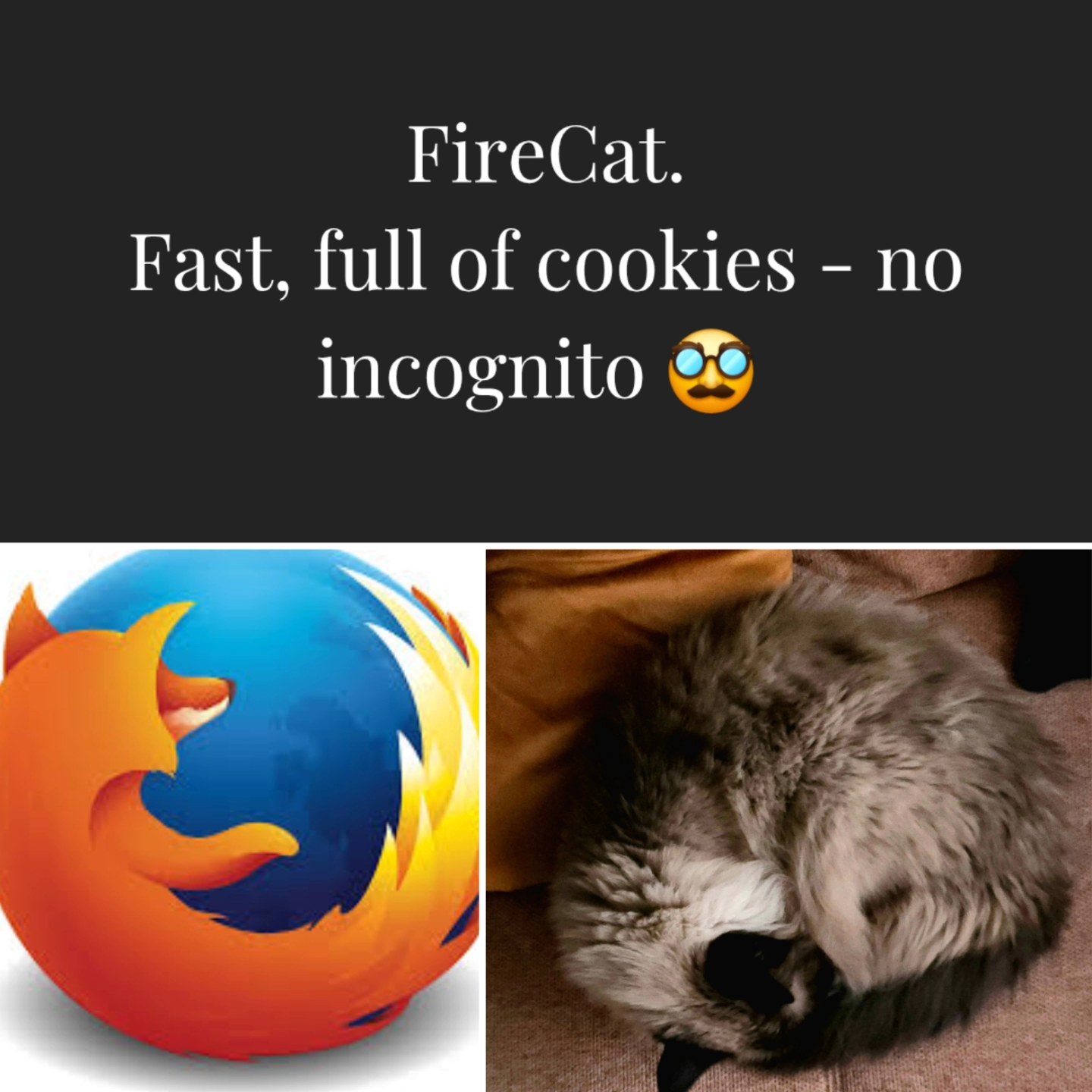 Creativity in 2025 is not only posting nice photos. So I had some fun with AI and made some fun stuff ๐โ๏ธ #ai #memes #portraits #home #catsofinstagram #tech #browser #ragdoll