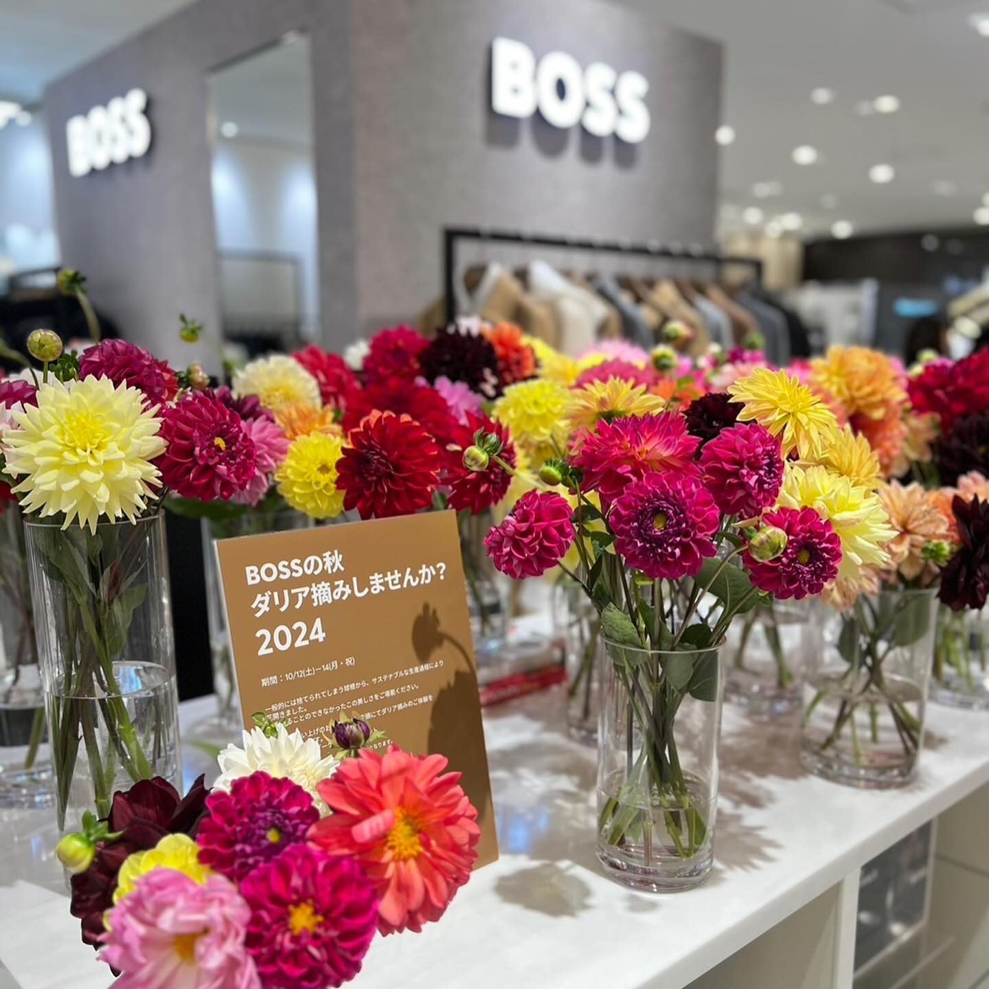 HUGO BOSSさまが六本木ヒルズに続き、ダリア摘みを阪急うめだ本店の大切なお客様へプレゼントして頂ける事になりました。10/12-14日限定ですのでセレブ皆さまはこの機会に阪急百貨店まで🤲
今回もダリア担当フローリストがお手伝いさせて頂きます。なんといつも贅沢😌
#hugoboss
#ダリアを抱きしめて
#ダリア
#thedahlia