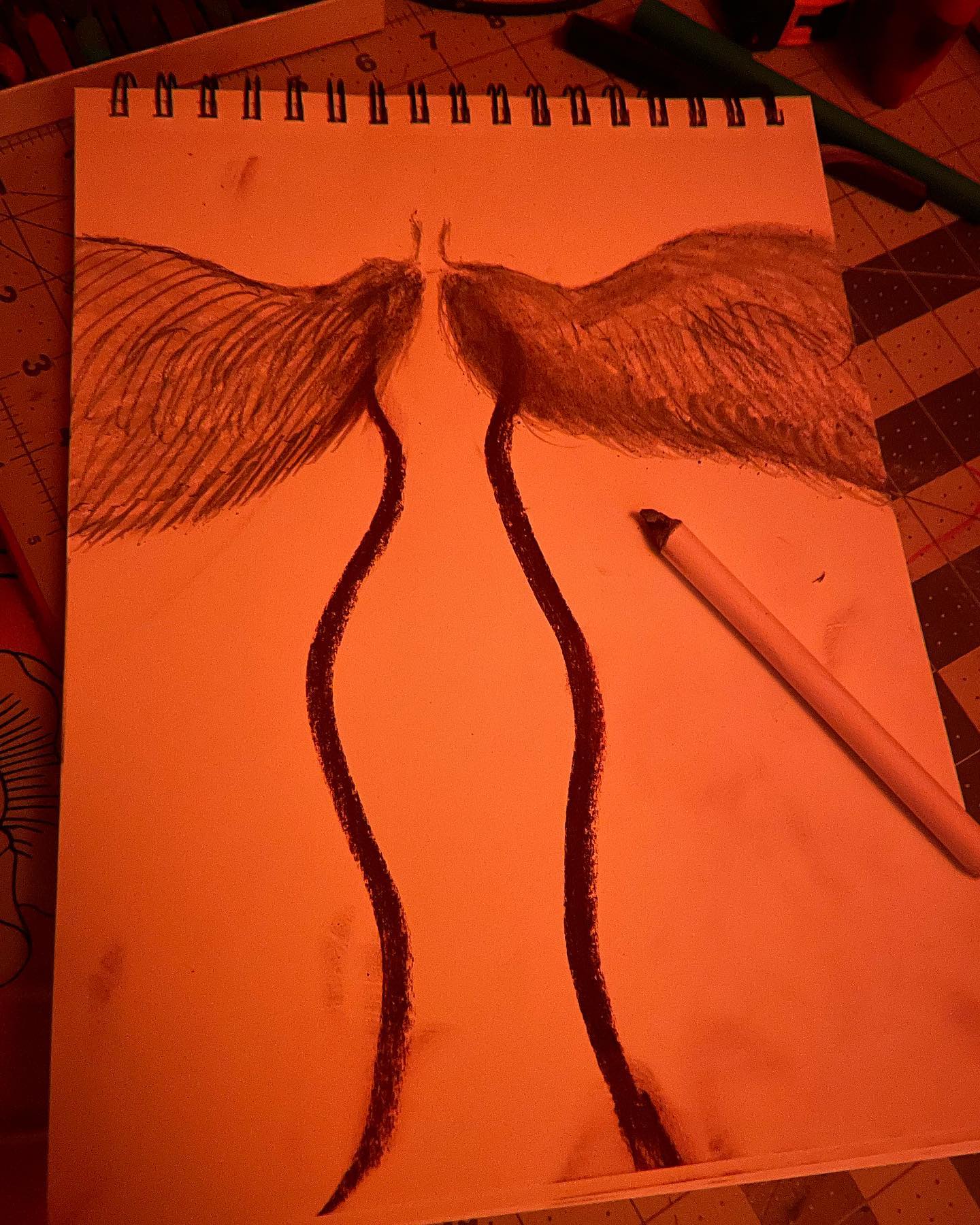 Thereβs a new series coming together piece by piece.
Like a mosaic of feelings, emotions and gratitude for it all.
The Wings of Grief and Growth.
The Phoenixes of my Existence.
ππ¦π
#grieftogrowth #artist #art #create #angel #drawing #doit #kismet #kismetology #perceptions #expand #love #17 #yonimudra #mudra