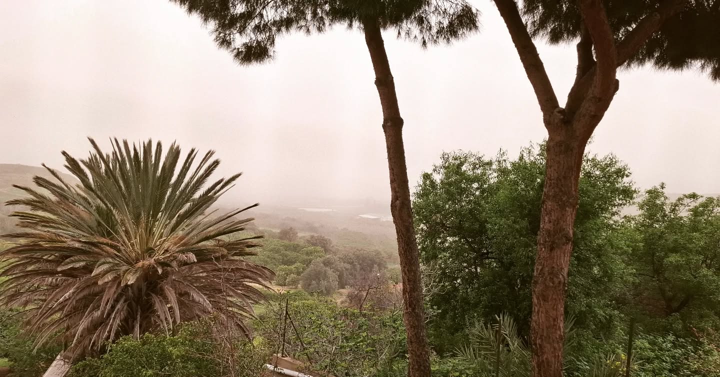 Mashallah! A promising warm day of April, starting with fog and the sound of a rooster. Beautiful morning to everyone from Lefke.
It is very quiet at the dergha now. Anyone who wants a peaceful retreat without the usual buzz when Mawlana is here, it's the right time to come.
It is the time of the year where it's not too warm nor too cold during the day, it's just right. Walking on the streets and smelling the orange blossoms gives a pleasant memory when they leave to anyone who comes in spring.
Feel free to send us a message if you're planning to come for the Urs, for Mawlid or any other time of the year. We're open 365 days a year. 😄
.
.
.
.
#naqshbandihaqqani #naqshbandiyya #naqshibandi #lifeinlefke #naqshbandisufi