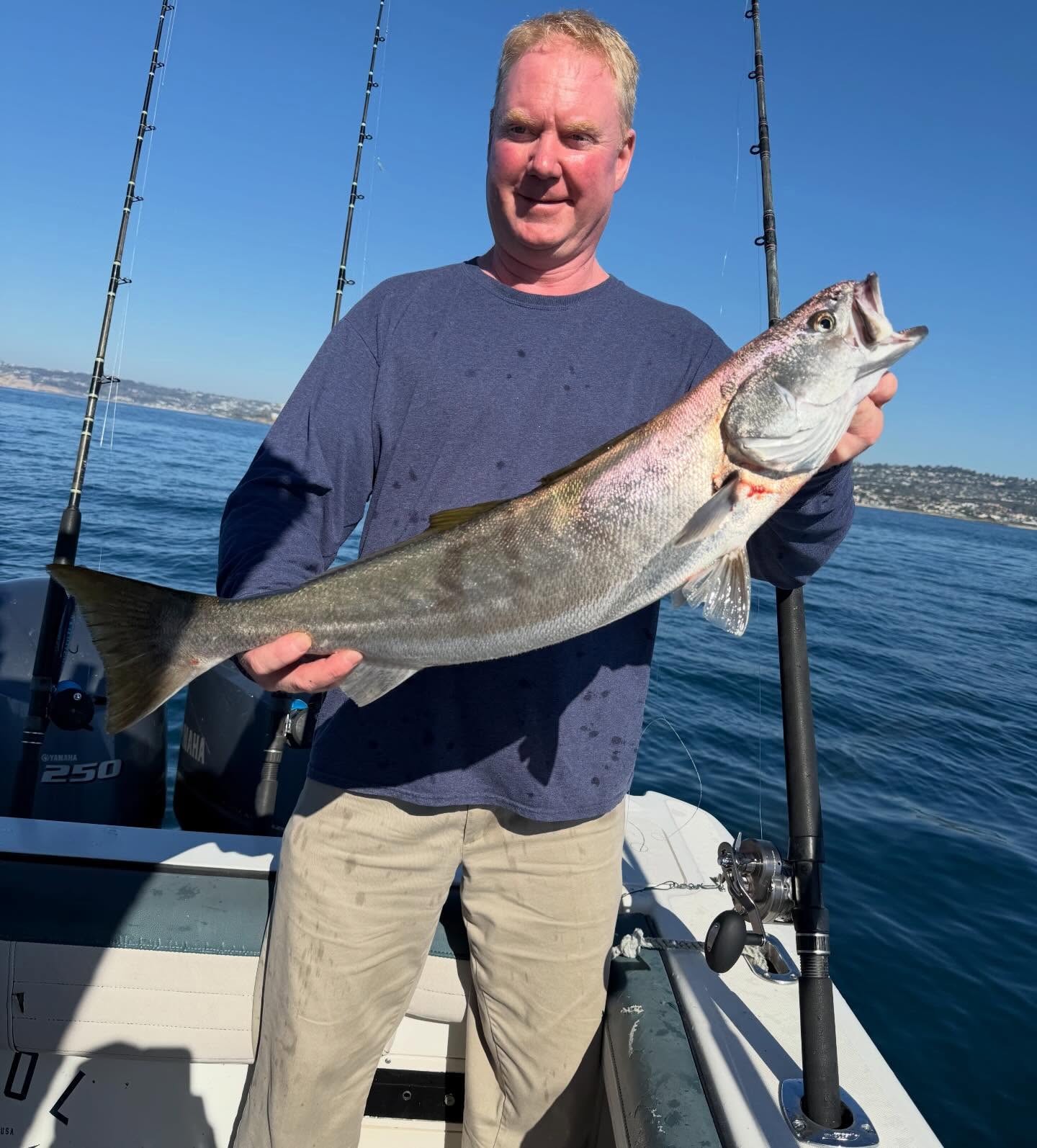 Unseasonably warm water on the beach has provided some cool catches as of recent. Never know what you’ll catch on a half day!
Awolsd.com to get on the schedule!
#anyfishanywater #aftcopro