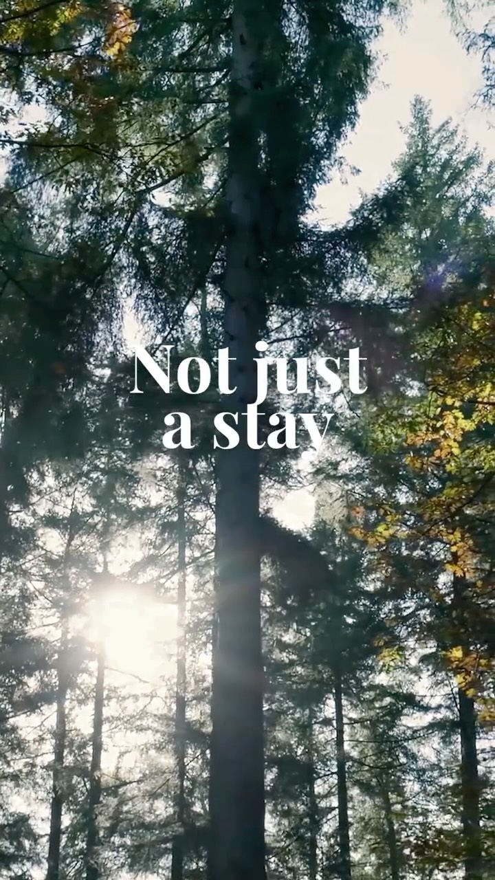 🇬🇧
Not just a place to stay.
A rhythm to step into.
At Fox Chalet, days unfold at a slower pace—
with movement, time outdoors, rest, and space to reconnect.
Tucked away in Bucovina, Romania,
it’s a place to slow down and settle into something simpler.
🇷🇴
Nu doar un loc de cazare.
Este odihna pe care o cauți.
La Fox Chalet, zilele curg mai liniștit—
cu mișcare, timp petrecut afară, tihnă și loc pentru reconectare.
Ascuns în Bucovina, România,
este un loc unde viața e mai domoală și tu te întorci la lucruri simple.
📍 Molid, Bucovina
🔗// Learn more in our bio link
📞 0766649645
#FoxChalet | #Bucovina | #CalatorieLenta | #CazariUnice | #RetreatRomania | #ConectareCuNatura | #ExperienteAutentice #visitromania #visitbucovina #triptoromania #slowtravel #regenerativetravel #roastofoxchalet #citizenfemme