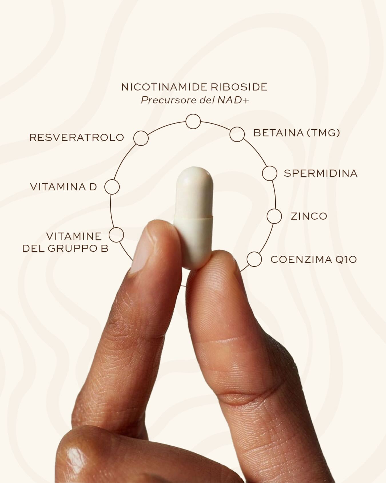 Una formula costruita attorno alla scienza della longevità.
Al centro, la Nicotinamide Riboside, precursore del NAD+, fondamentale per la produzione di energia cellulare.
Accanto, un complesso di attivi selezionati che lavorano in sinergia per sostenere vitalità, protezione dallo stress ossidativo e processi di rinnovamento.
Un equilibrio tra ricerca scientifica e funzionalità.