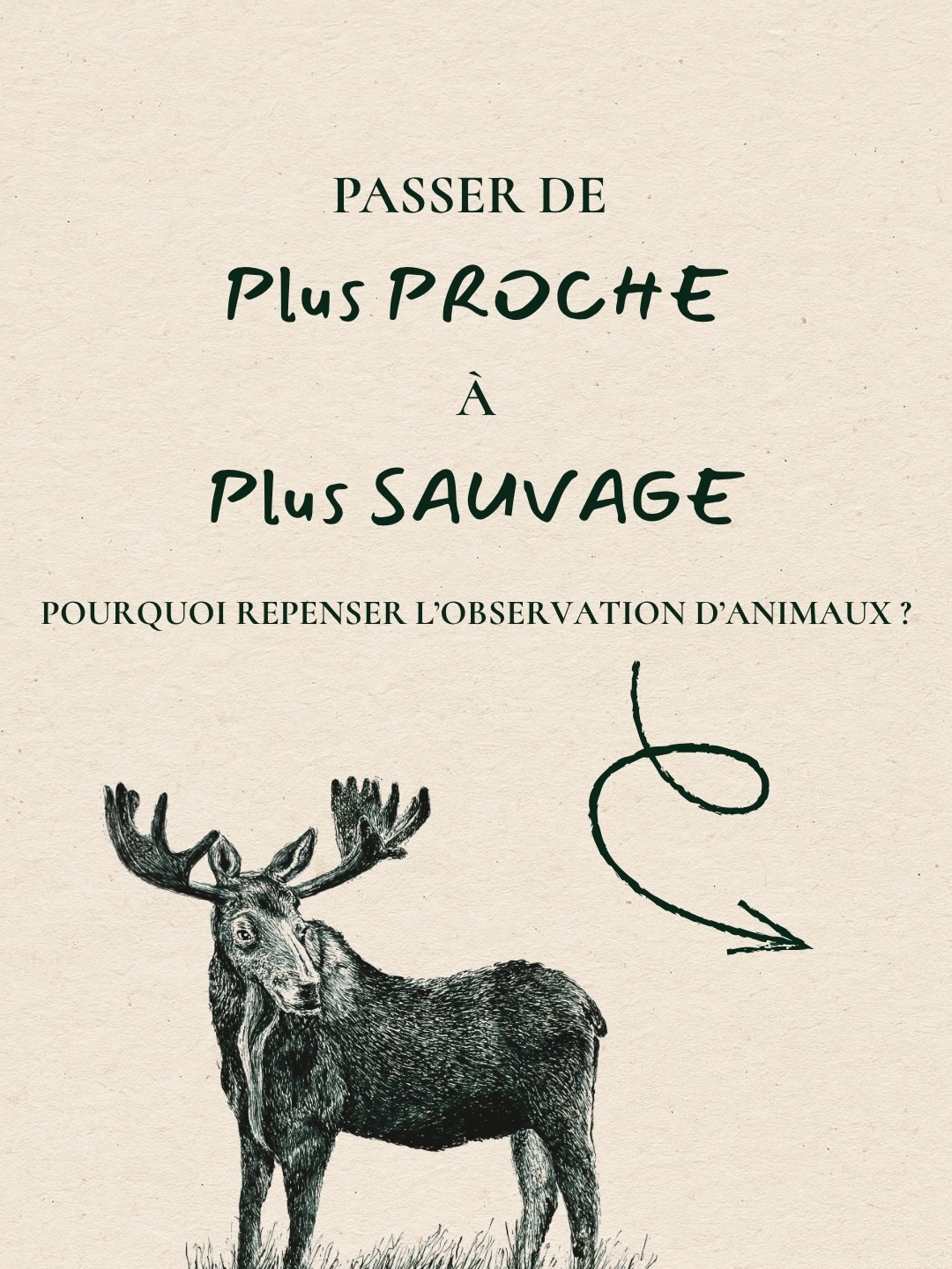 🐻 Durant nos activités en nature, il est possible de faire des rencontres inédites avec la faune sauvage.
Pourquoi inédites ? Parce que nous adoptons une approche aussi respectueuse que possible du monde sauvage. Cela signifie que les animaux se montrent à nous uniquement s’ils l’ont décidé, et non l’inverse.
Cela implique que nous ne savons jamais à l’avance ce que nous allons observer : un ours noir, un pygargue à tête blanche, un orignal ou encore une famille de lynx du Canada.
Nous pensons que ces rencontres inattendues sont les moments les plus marquants de nos activités et qu’elles laissent toujours un souvenir indélébile.