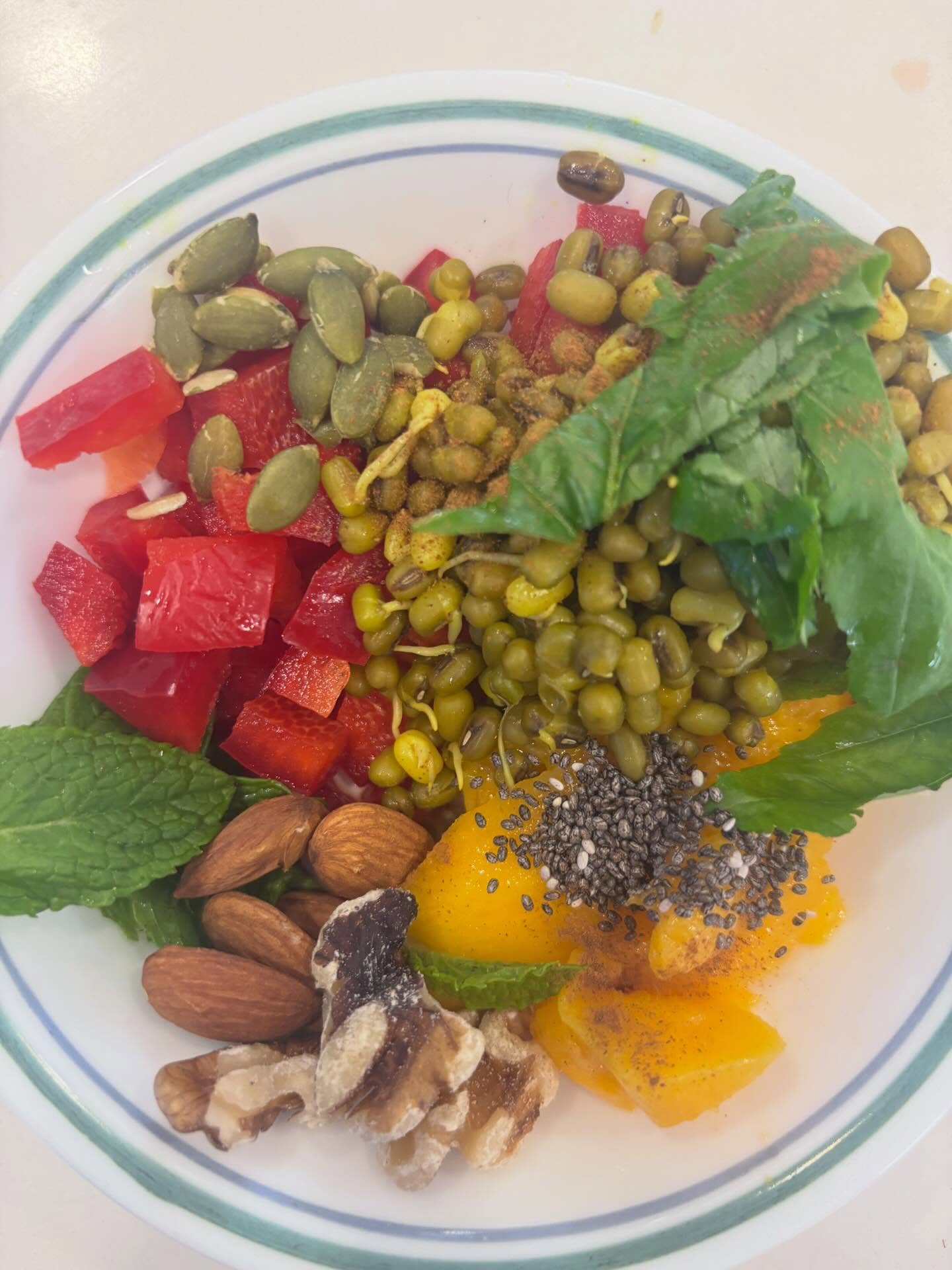 Healthy breakfast, #Detox after Vegas ;) Mango Mung Sprouts Basil Mint Nuts Chia Pumpkin seeds Red Bell Pepper with a dash of cinnamon and turmeric.
#theflavorstation #highprotein #vegeterian vegan