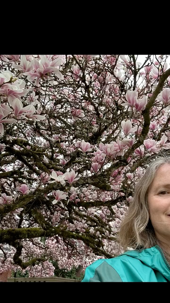 Just a little March recap for ya!
Had some fun bowling with family, school music concert, When the Clock Stops @reverentrhythmsschool (a few times), favorite market pop-up to date @facetofacegj , flowers at High Desert Floral (another fave), and looking at schools with my oldest in Oregon.
I’m feeling summer vibes with all the heat, but first, Easter! And also, time slow down please.
Thanks,
A mom trying to keep up…and also stay in the moment
#purchasewithpurpose
#peopleoverprofit
#buyglobalgivelocal