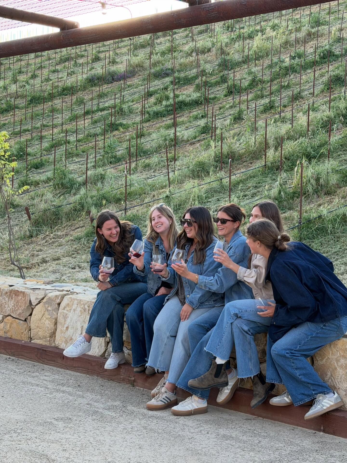 We hosted @calpolywvit to see the new winery experience. The park, kids playground, Vineyard improvements, etc. Very helpful to see where the TikTok videos and Instagram photos will naturally be taken 😜😇