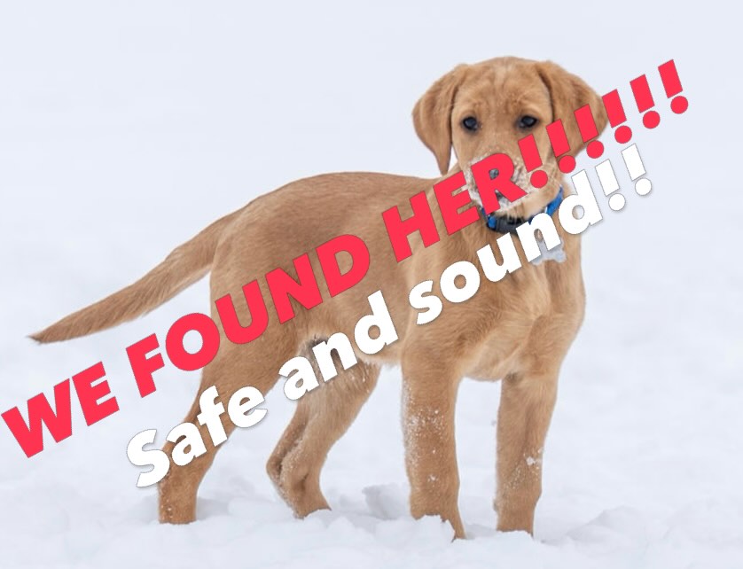 WE FOUND HER!!!!! THANK YOU SO MUCH TO EVERY SINGLE PERSON WHO HELPS US BRING OUR GIRL HOME!! Greta is getting a bath and some much needed food and rest!! It’s truly amazing how a small town can come together for good!!! THANK YOU AGAIN TO EVERYONE FOR EVERYTHING YOU HAVE DONE TO HELP BRING HER HOME!!