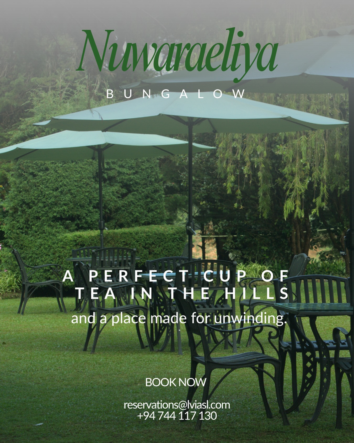 Morning mist drifting across the greens.
Summerhill Bungalow is where you remember what rest actually feels like.
No agenda. No rush. Just you and the hills.
DM for more info or book below.
WhatsApp: +94 744 117 130
Email : reservations@lvia.com
#srilankanhills #slowtravel #srilankatourism #villasrilanka #villarental