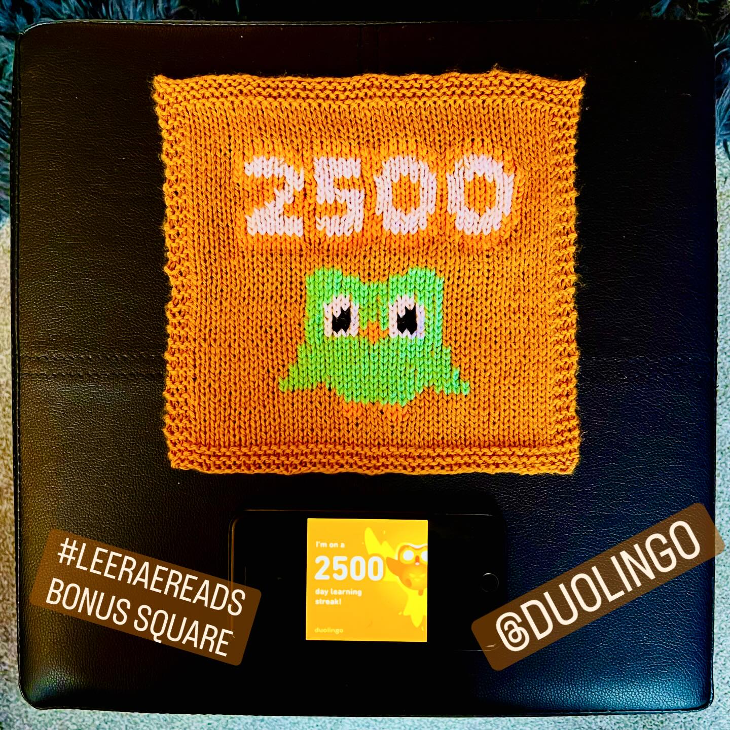 Bonus Square - Duolingo
If I’ve done my maths right, my final blanket is going to need a bonus 4 squares. So here’s the first - A 2500 day streak on one of my favourite apps, Duolingo! It’s got its pros and cons, but it still opened the doors for an entirely new field of interest and I’ve got a lot to thank it for!
#knittersgonnaknit #biblioblanket #languagelearningjourney #duolingo