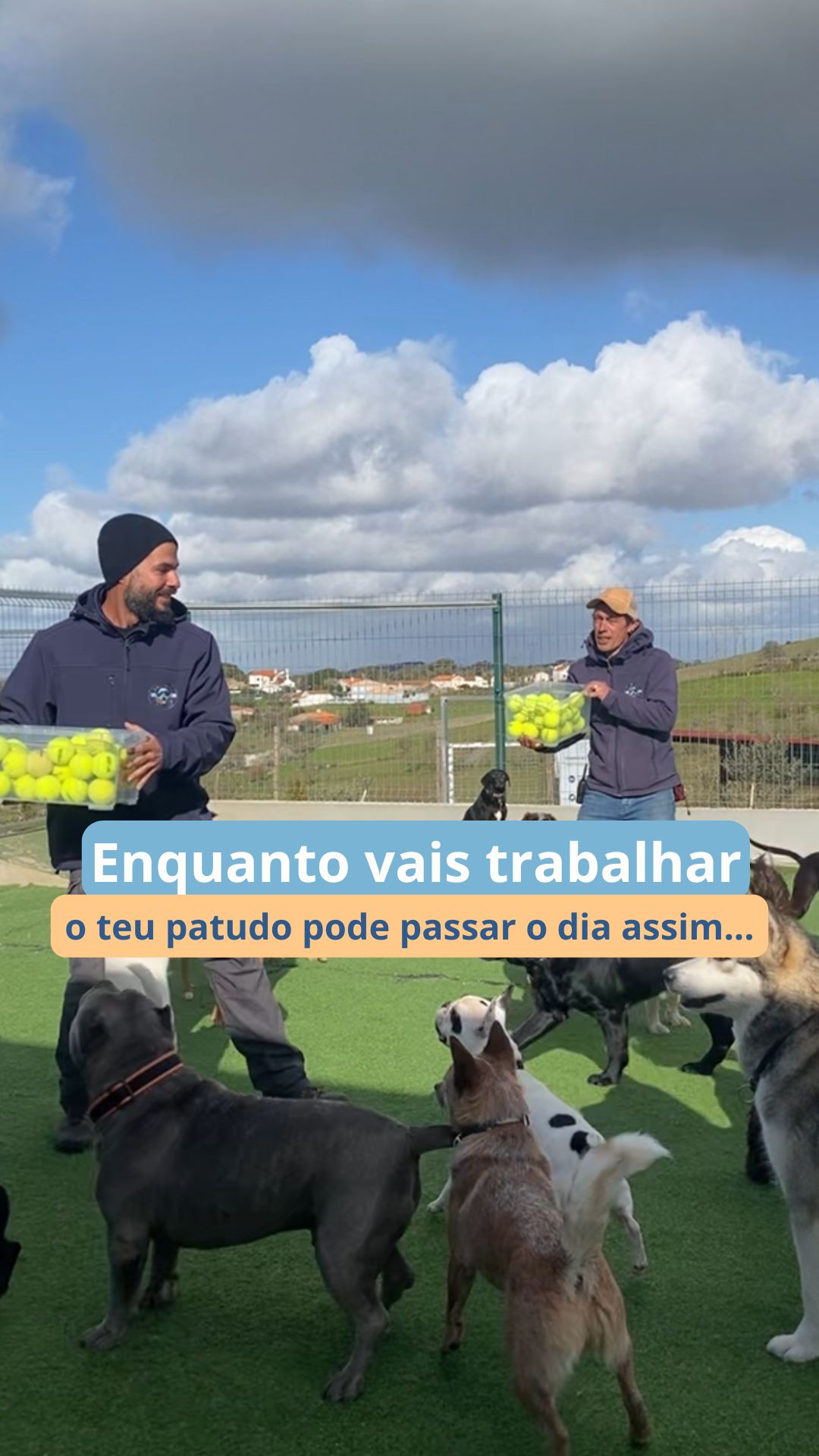 Correr, brincar, fazer novos amigos e gastar toda a energia acumulada.
Porque ficar sozinho em casa nunca será tão divertido como passar o dia na nossa creche.
No final do dia? Um cão mais calmo…
e muito mais feliz 🐶✨
Queres que o teu patudo também tenha dias assim?
📩 Envia-nos mensagem e vamos mostrar-te como
Um agradecimento especial ao @arruda.fun.padel pela partilha das bolas, que ganharam uma nova vida… e fizeram as delícias destes patudos 🐾♻️