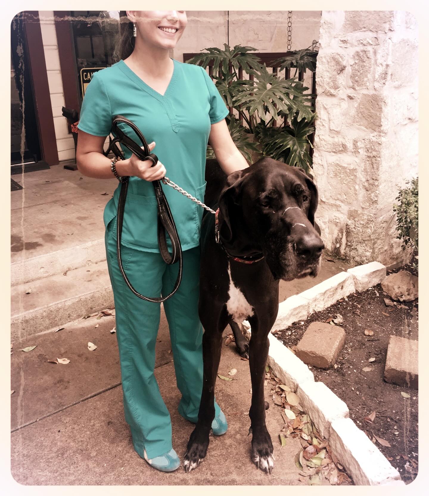 12 years of pet care, 10 years of The Mindful Pet.
Hello! I’m Cierra, owner and founder of The Mindful Pet. This is where it all started: 2014 and new to Austin, bright eyed and bushy tailed, working at a local veterinary clinic. Thriving. Two years later, in 2016, my daughter was born and I was looking for a way to still care for animals while being present for my growing family. That year The Mindful Pet was born as well, and has taken on a life of its own. What started as a one-woman pet sitting operation, has now grown into the most delightful little team of caring pet professionals with decades of pet care experience between us. The Mindful Pet has cared for hundreds of pets over the last 10 years. What a wild, sweet ride this has been.
#atx #atxpetsitter #leander #cedarpark #petsitter