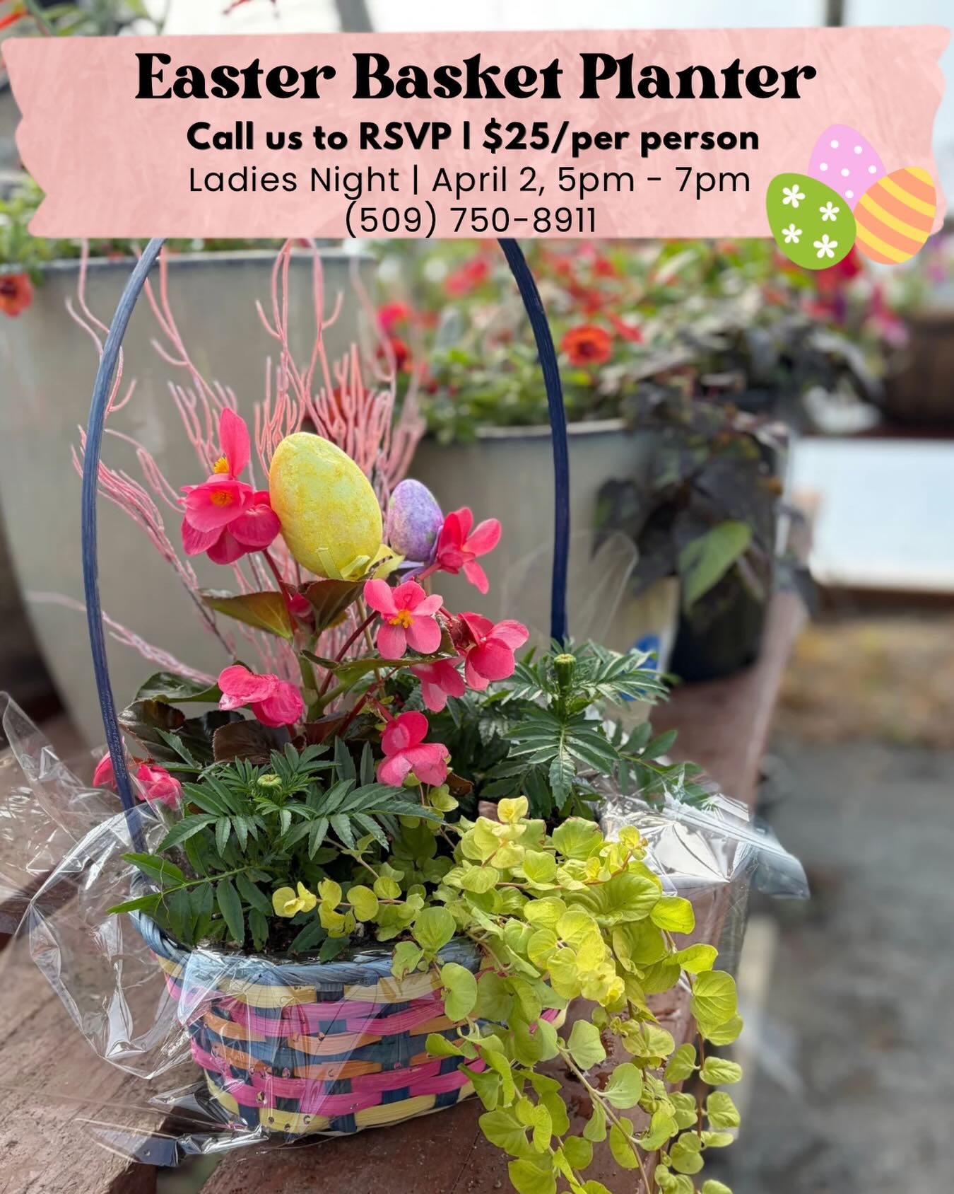 Build an Easter Basket Planter this Thursday at Ladies Night at the nursery! 🐰🌸 Perfect for your Easter table and decor. 👉 Call us to RSVP for the class, (509) 750-8911
.
.
.
.
.
#ladiesnightatthenursery #royalcitywa #thingstodo #easterbasket #moseslake