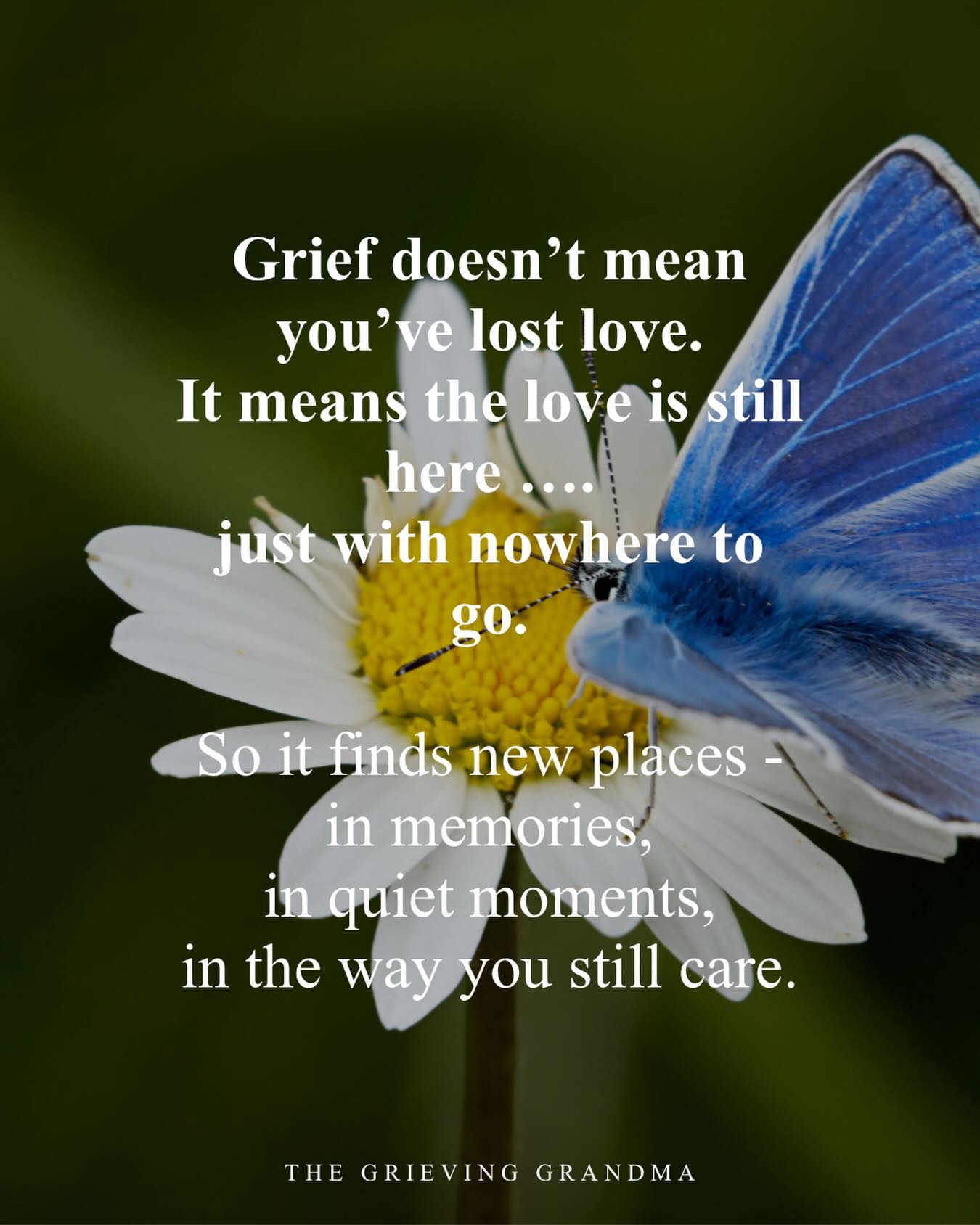 Some people think grief is about letting go.
But what I’ve learned…
is that grief is really about holding on in a new way.
The love didn’t end.
It didn’t disappear.
It didn’t fade.
It simply changed where it lives.
Now it shows up in the smallest moments—
a memory that stops you mid-step,
a tear that comes out of nowhere,
or even a quiet smile when you least expect it.
That’s not weakness.
That’s love… still finding its way. 💛
So if today feels heavy,
or quiet,
or even a little confusing…
You’re not doing grief wrong.
You’re loving someone who mattered deeply.
GG 🦋