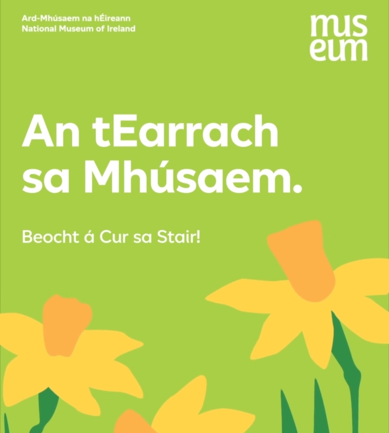 Looking for plans for the long Easter weekend?
Spring has sprung at the National Museum of Ireland!🌱🪺
Where everyone is welcome and admission is free — now is the perfect opportunity to brush up on your history or learn something new!
@nationalmuseumofireland