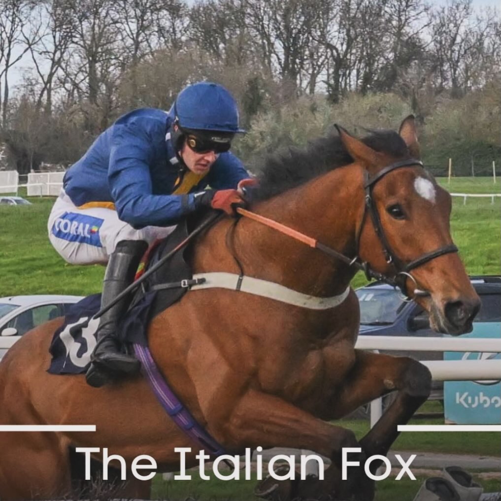 The Italian Fox showed a very impressive win yesterday @chepstowracecourse ridden by @brendanp1995
Well done to The FTC 2 Syndicate 👏🏻
@coralofficial
@dodsonhorrell
