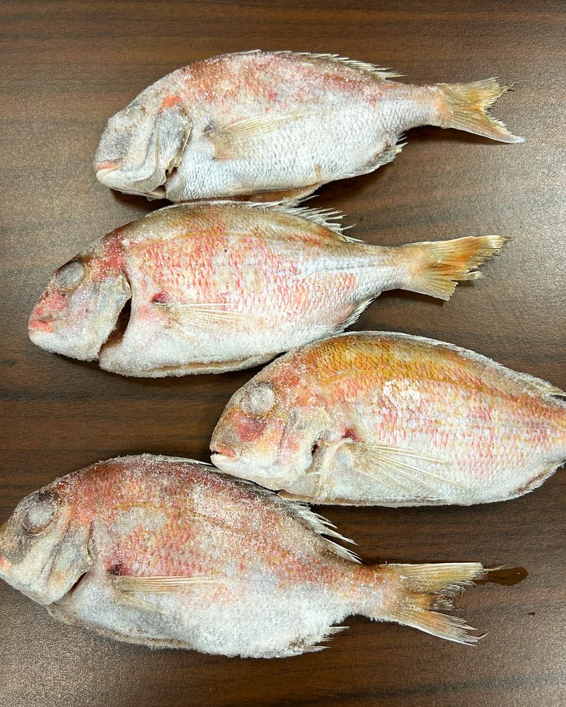 The PERFECT size for a grilled treat 😍🍖 Each are about the size of a hand 🖐️ 小鯛KODAI - Seabream 手の平サイズの焼き物用 🔥
📦 Details:
100 - 120g size
100 - 120g / pc
$6.65 / lb
Bring the buttery, fresh flavors of the ocean to your kitchen. DM us for more info, order easily on Freshline, or stop by to place your order!
📍 OP Las Vegas
🏠 3600 W. Oquendo Road
🎰 Las Vegas, NV 89118
📞 Tel: (702) 798-1784
✉️ Email: lasvegas@oceanprovidence.com
#SushiChef #SeafoodRestaurant #Seafood #VegasFoodies #LasVegasLife 寿司 刺身 海鮮 グルメ 日本食 ラスベガスグルメ ラスベガス寿司 ラスベガスレストラン 美味しい SushiChef SeafoodLovers SushiLovers SashimiLover JapaneseSeafood LasVegasEats VegasFoodBlog VegasChef LasVegas VegasLocals VegasFood VegasLiving .