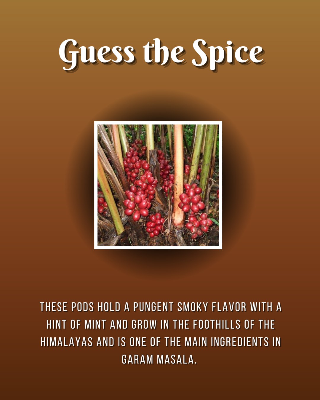 One more hint? Its a dark wrinkly pod that starts with a C.