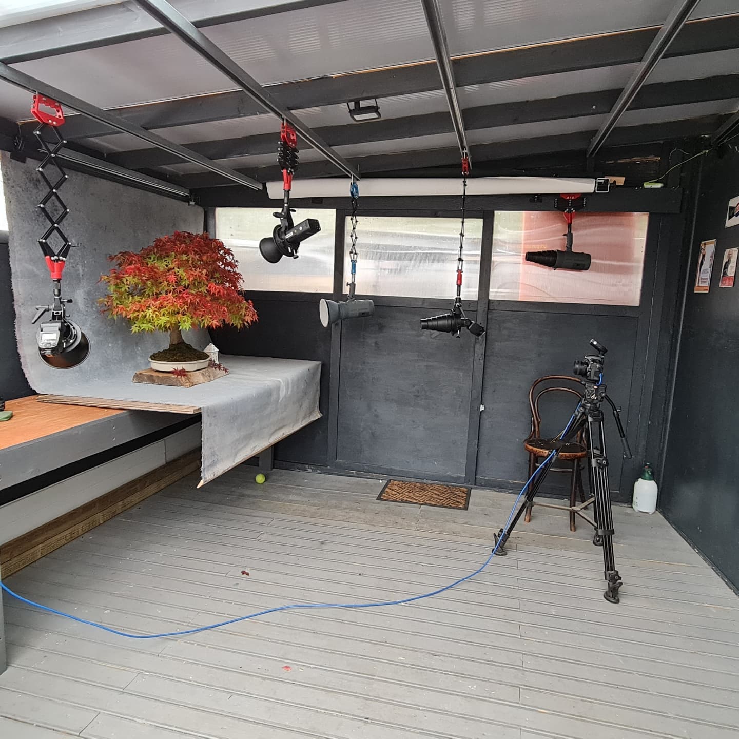 Studio setup for Bonsai Photography.