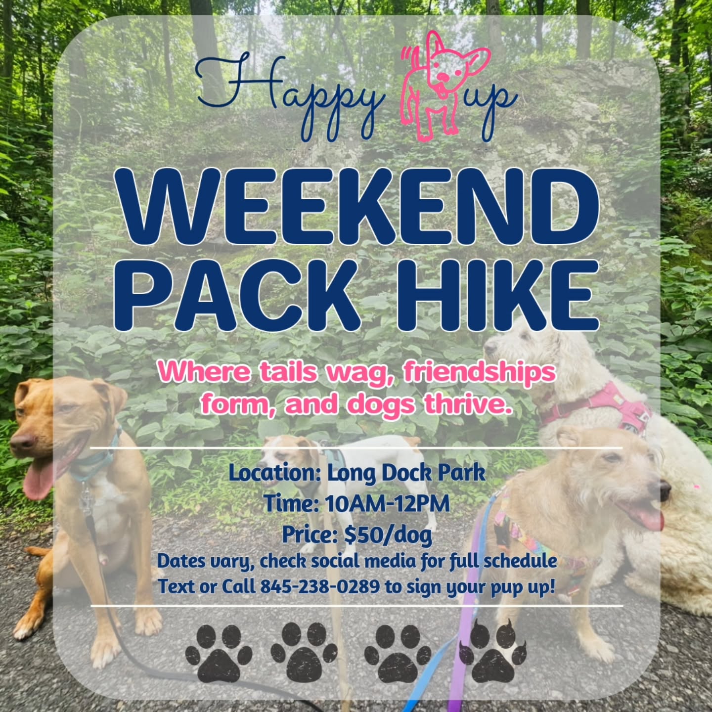 Spring is F I N A L L Y here & so are our Weekend Pack Hikes! It was a long, cold, winter & we are SO ready to hit the trails with our friends πΎπ©·
First hike out will be Saturday April 18th π·
πΈοΈLong Dock Park Beacon, NY
πΈοΈdrop off at 9:45AM, pick up at 12PM
πΈοΈ$50/dog
Call or text to reserve your pups spot πβπ¦Ίπβπ¦Ίπβπ¦Ί
Future Hike Dates:
Saturday October 10th
Saturday October 31st π» *costumes encouraged*
#happypup #happypupdogwalking #happypupdogboarding