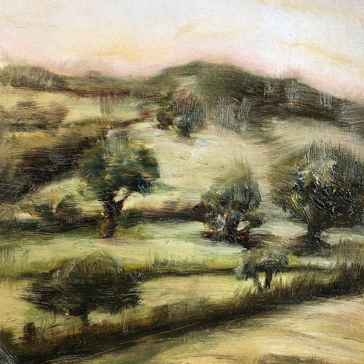 It’s so easy to miss all the beauty that’s right in front of us. The softness of the landscape, the warm breeze in the evening. Let them be a reminder to the beauty that’s inside of you too. Because when you open up and stay curious to your surroundings, you’ll be open to your inner landscapes too💛. That’ll bring so much beauty to your life, it really does.
#landscapeart #landscapepainting #landscapeoilpainting #moodylandscape #innerlandscape