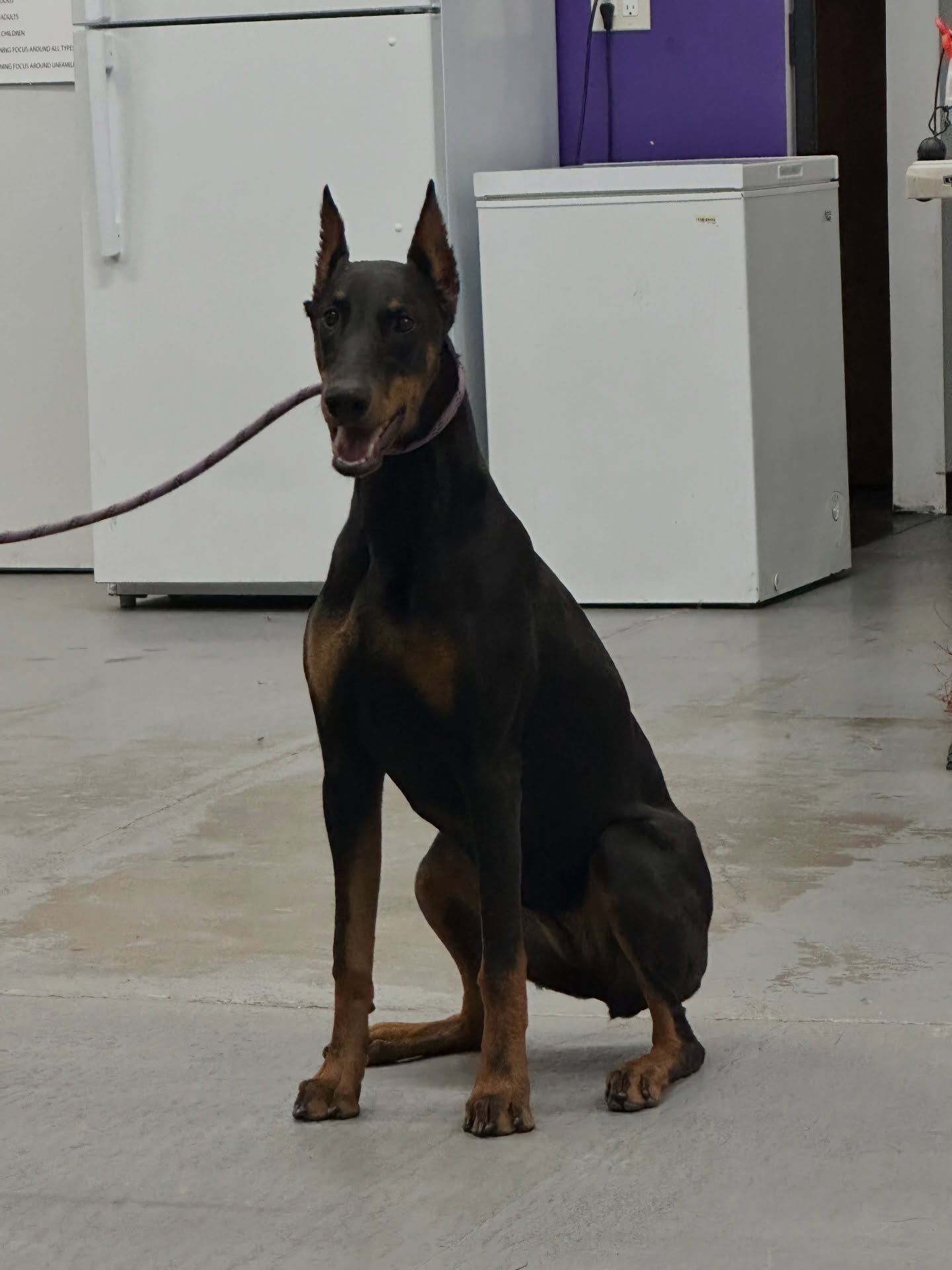 Remi