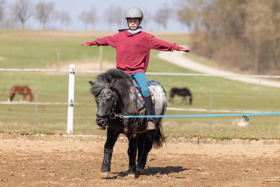 Unser Zorro mit seiner Reitbeteiligung an der Longe. Sind sie nicht ein süßes Team? 🥰
📸 @franziskadaurerfotografie