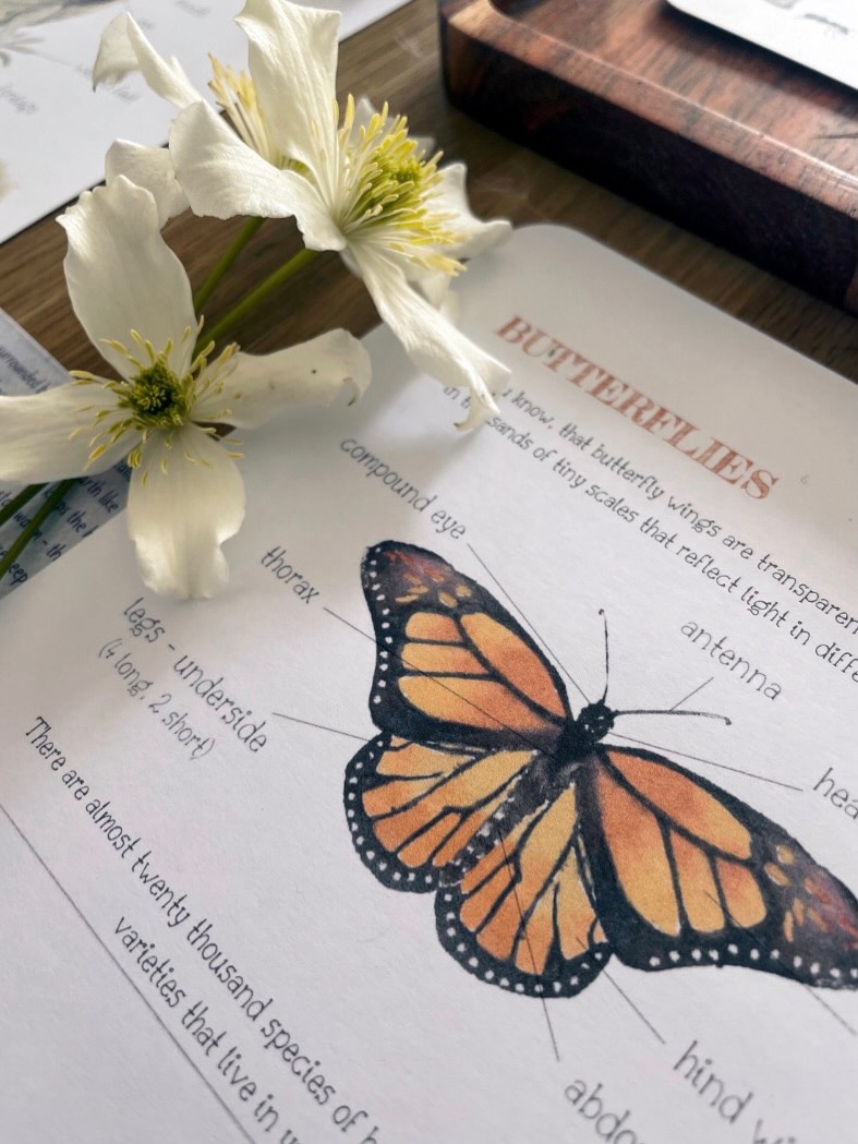 Spring is here and itās the perfect time to get outdoors and explore the world that is beginning to awaken.
.
My outdoor journal is on offer for just £1.00 - today only! #springhassprung #outdoorjournal #learningresources #specialoffer