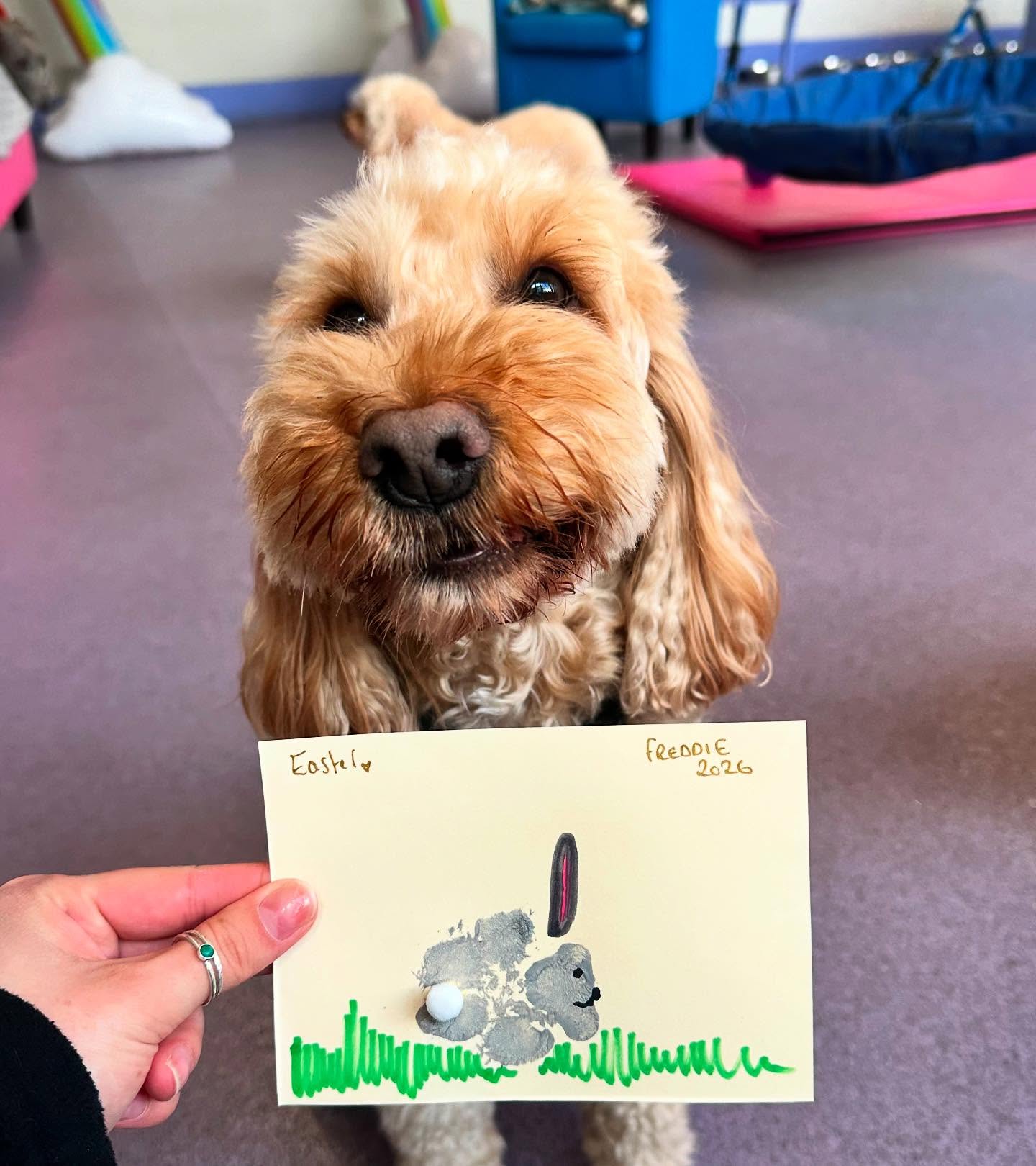 Yappy Easter Pawtraitsππ£π° @pam.sherlock.9