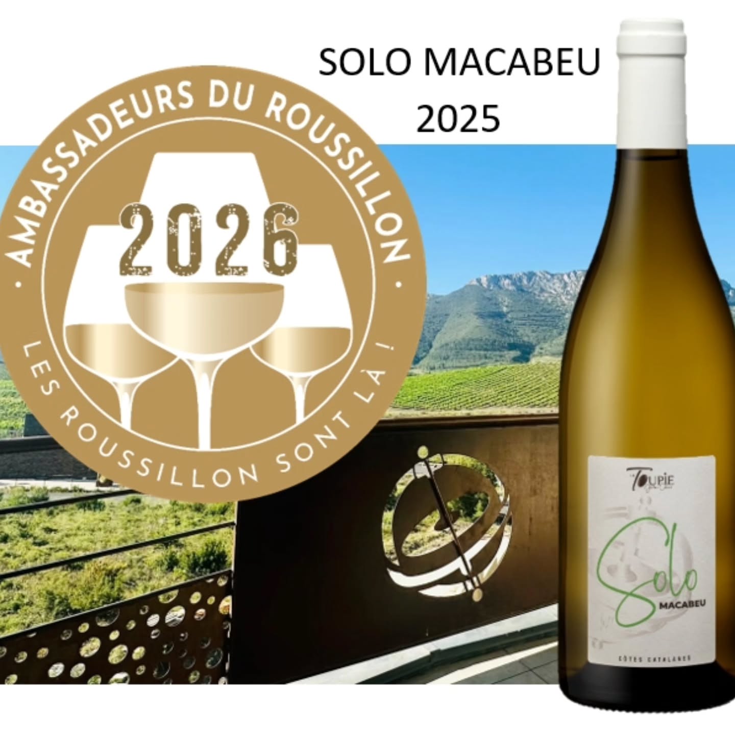 La cuvée Solo Macabeu 2025 fait partie des ambassadeurs des vins du Roussillon 2026!
#domainelatoupie #vinsduroussillon #macabeu #terroirdeschistes