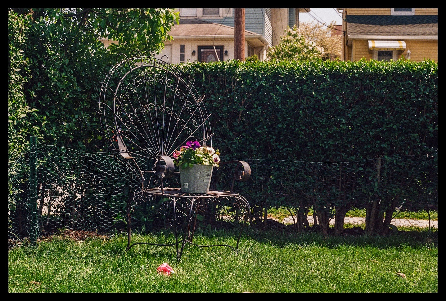 film photos from October
#canonrebelS #canonae1 #ilfordsprite35ii