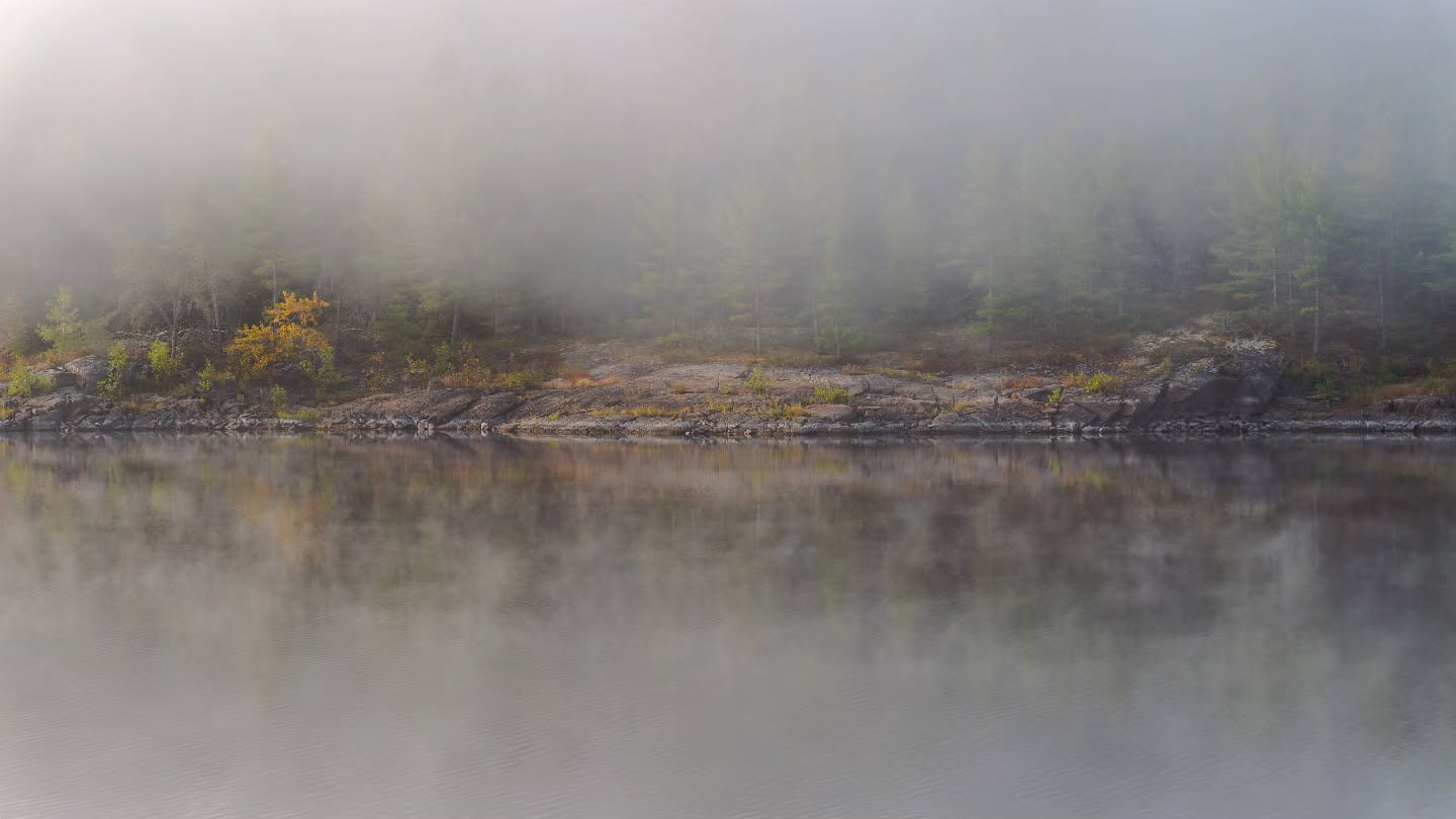 Just a glimpse. ππ«
(2025-09-01)
#frenchriverprovincialpark #ontarioparks #landscapephotography #fog #ontarioforyou