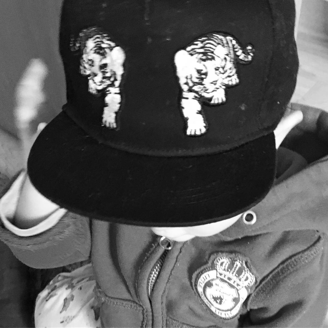 little tiger #tigress #babytiger #erstezähne #dieeckzähnesinddiebösen
